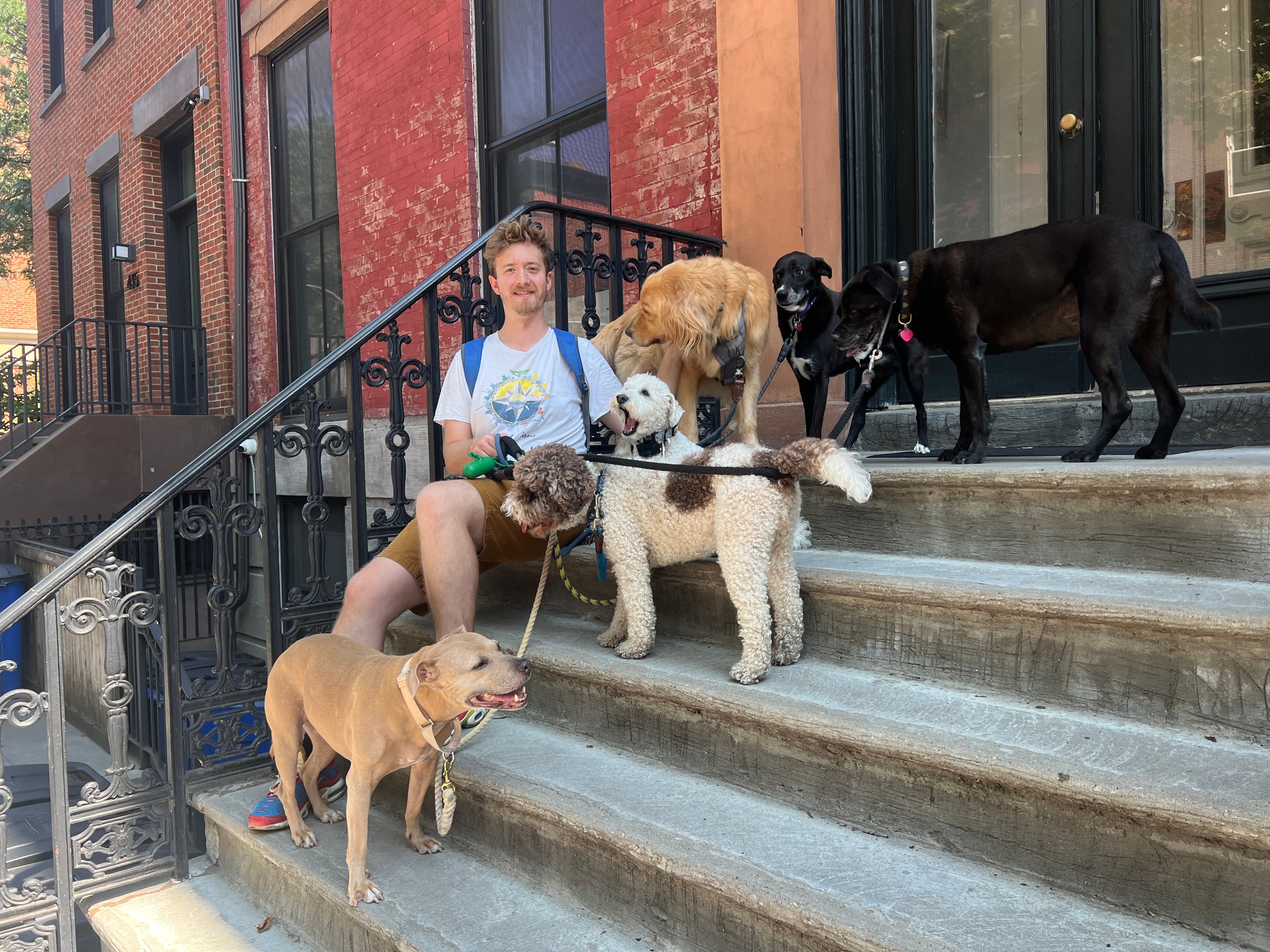 Galen's Brooklyn Walkers - Pet groomer in Brooklyn, NY