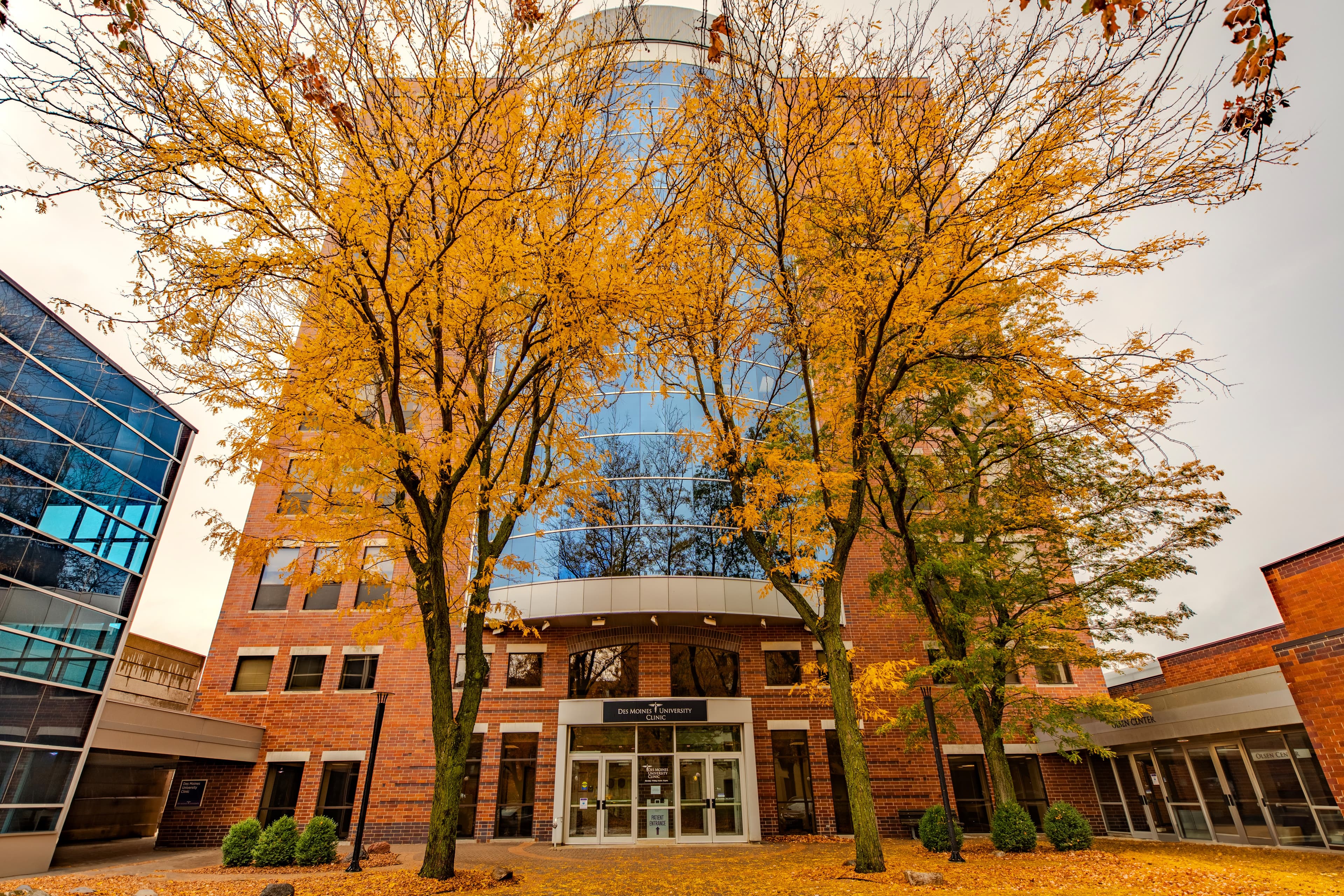 Des Moines University Clinic - Doctor in Des Moines, IA