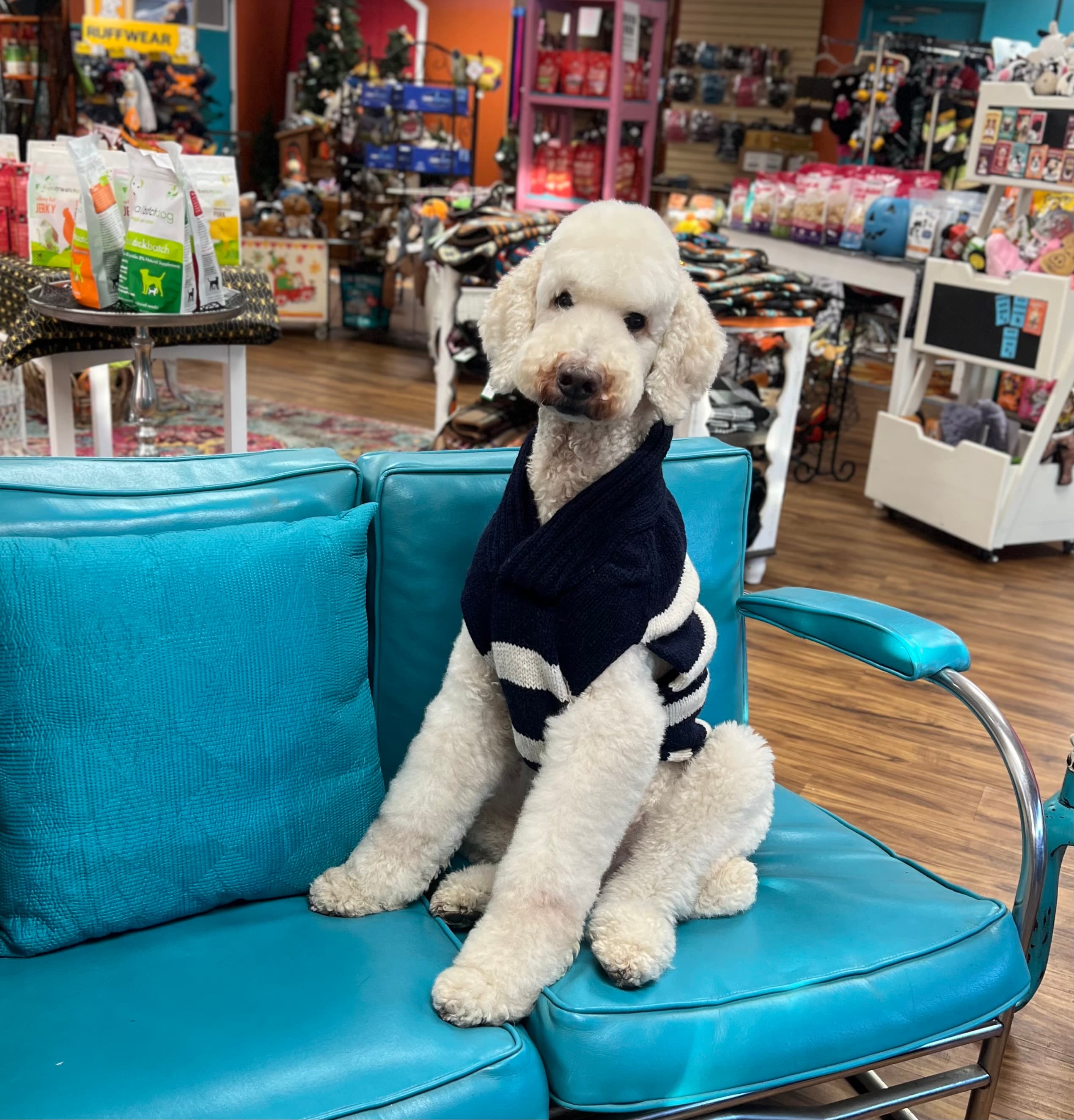 Simply Wonderful KC Pet Groomer & Supplies - Pet groomer in Kansas City, MO
