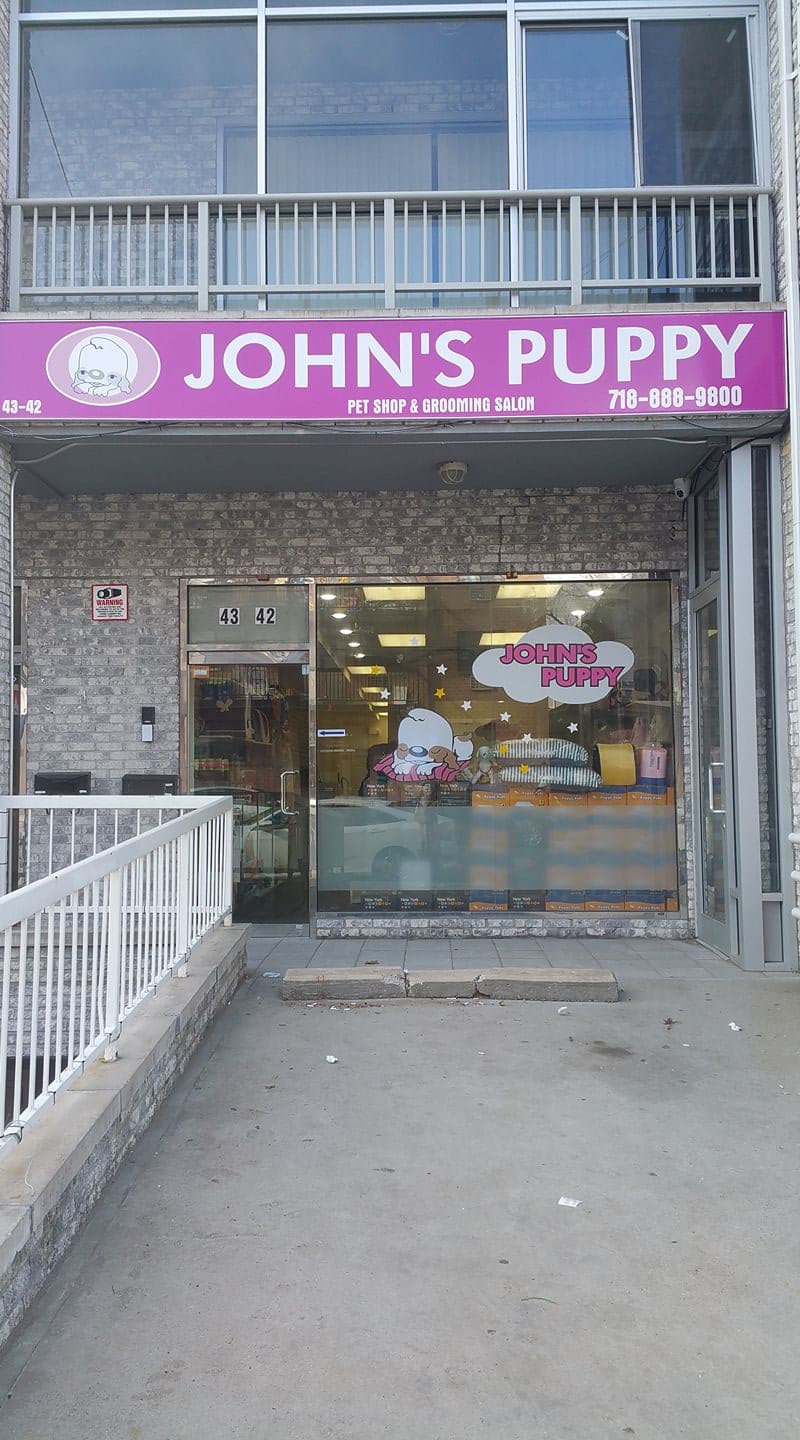 John's Puppy - Pet groomer in Flushing, NY