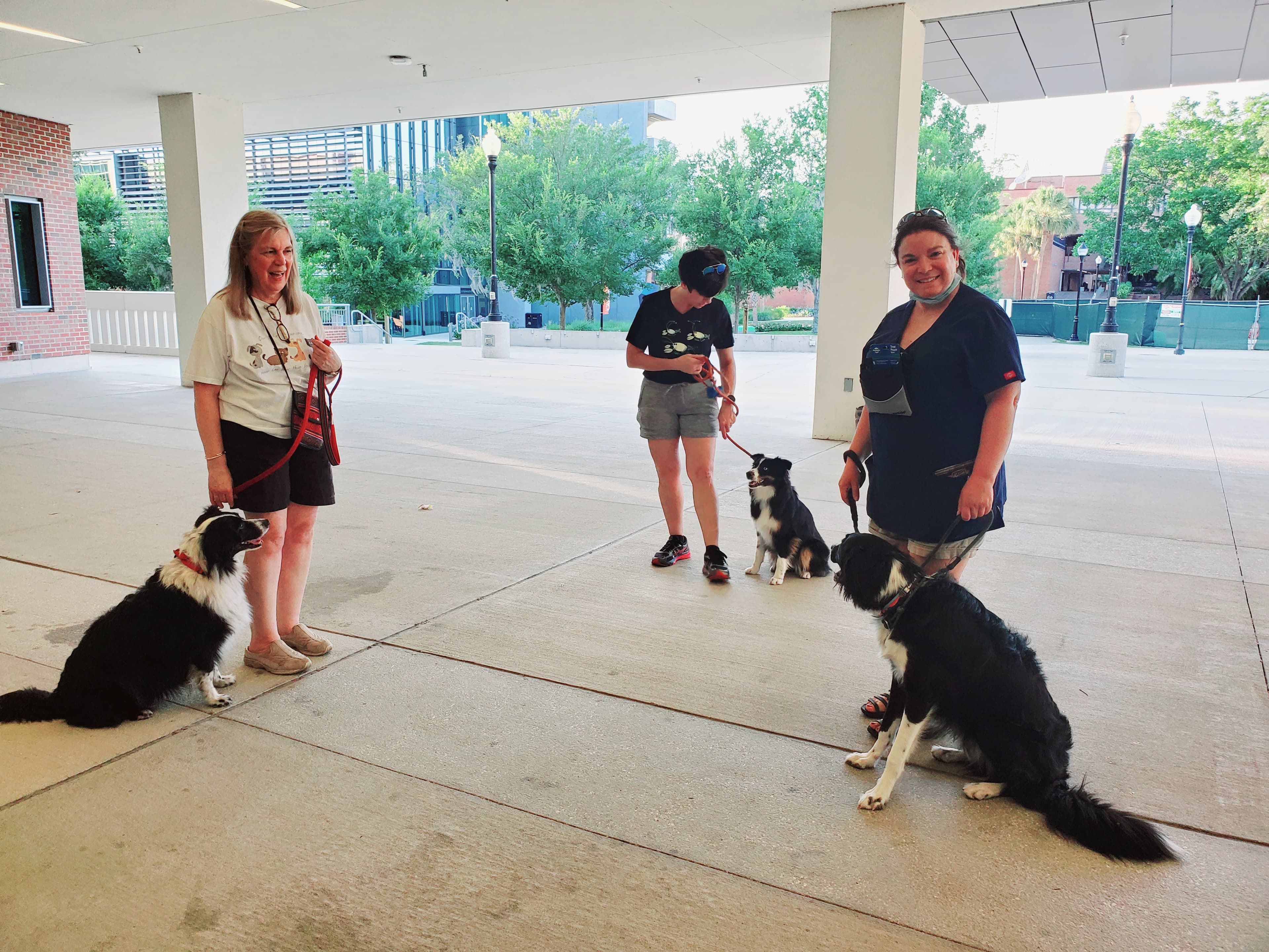 P.U.P.S. Dog Training - Pet groomer in Gainesville, FL