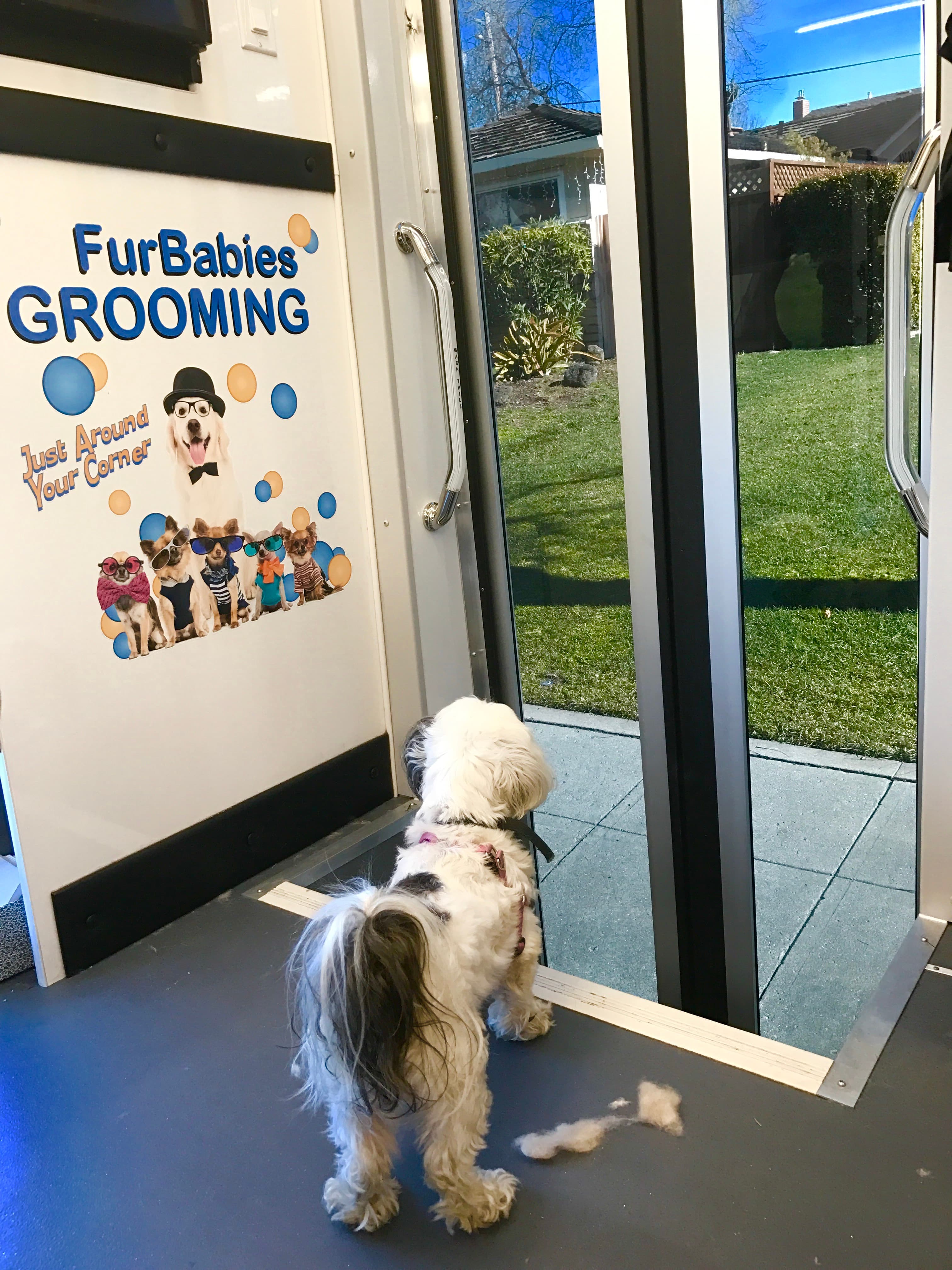 FurBabies Mobile Grooming - Pet groomer in San Jose, CA