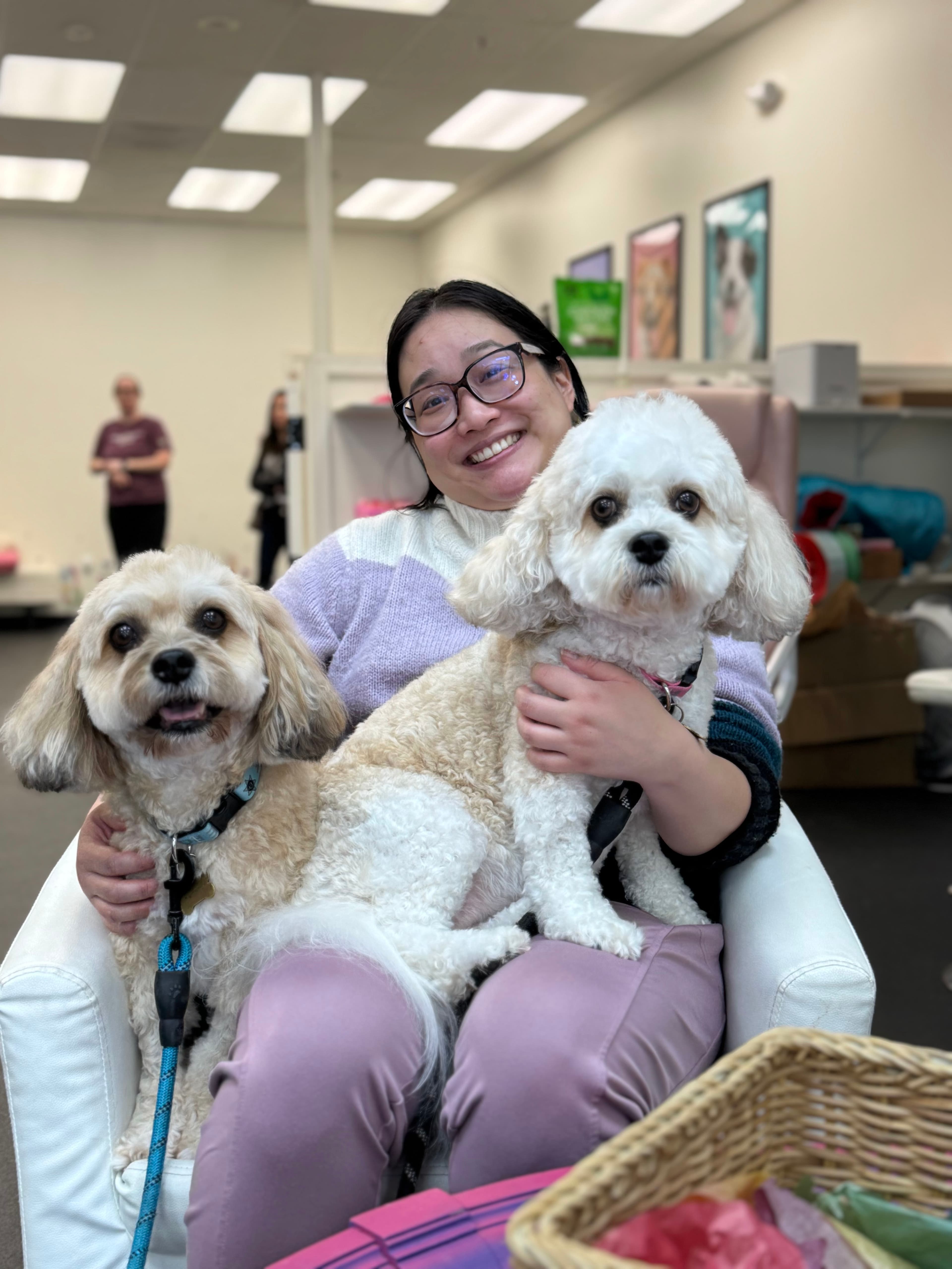Paws N' Play - Pet groomer in Sacramento, CA