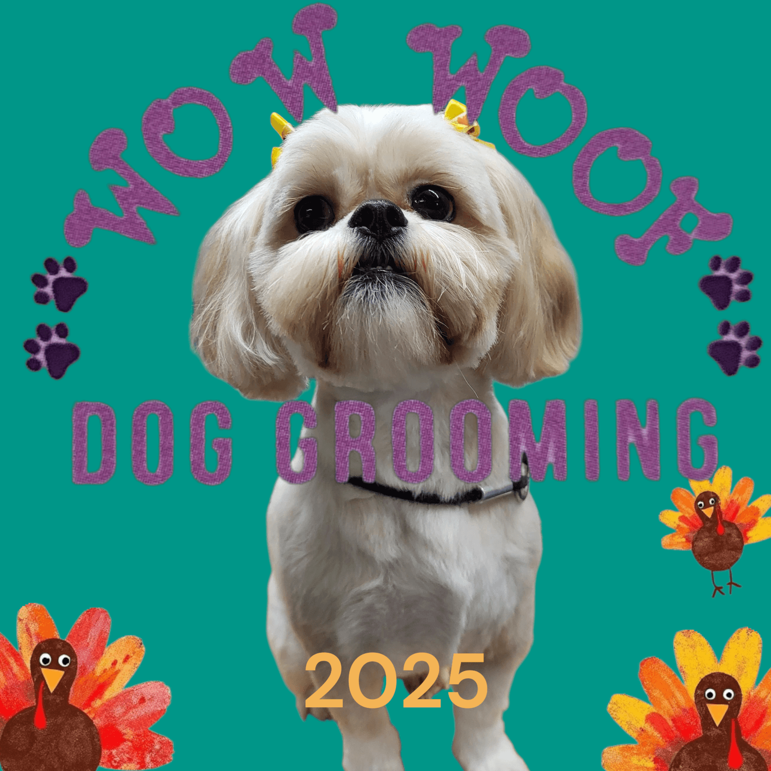 Wow Woof Dog Grooming - Pet groomer in San Antonio, TX