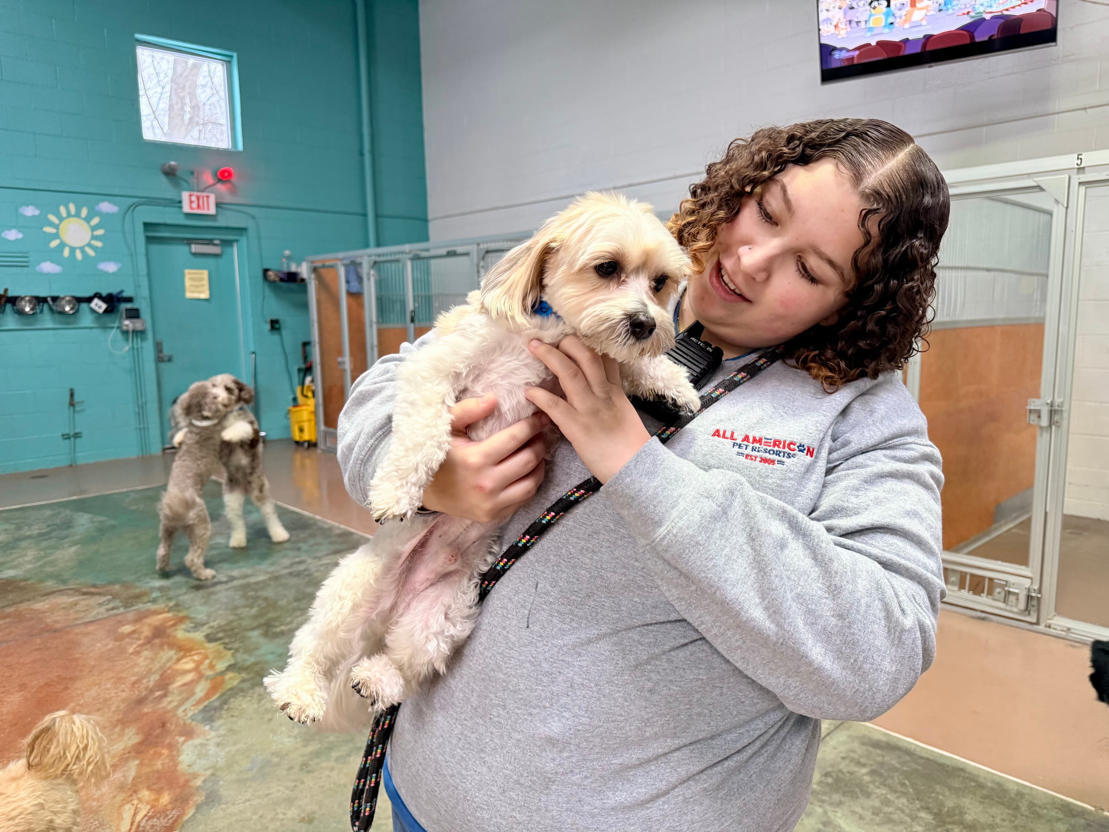 All American Pet Resorts - Royal Oak - Pet groomer in Royal Oak, MI