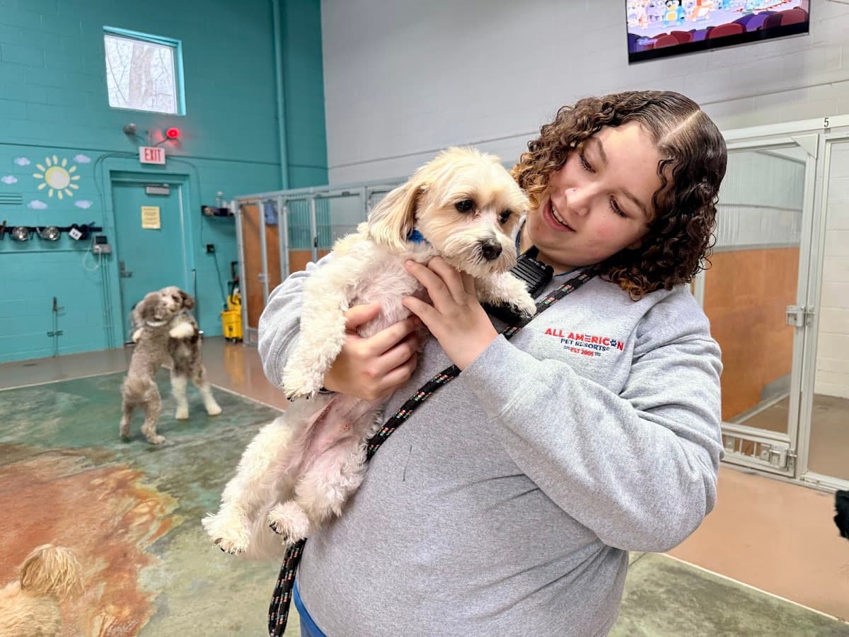 All American Pet Resorts - Royal Oak - Pet groomer in Royal Oak, MI