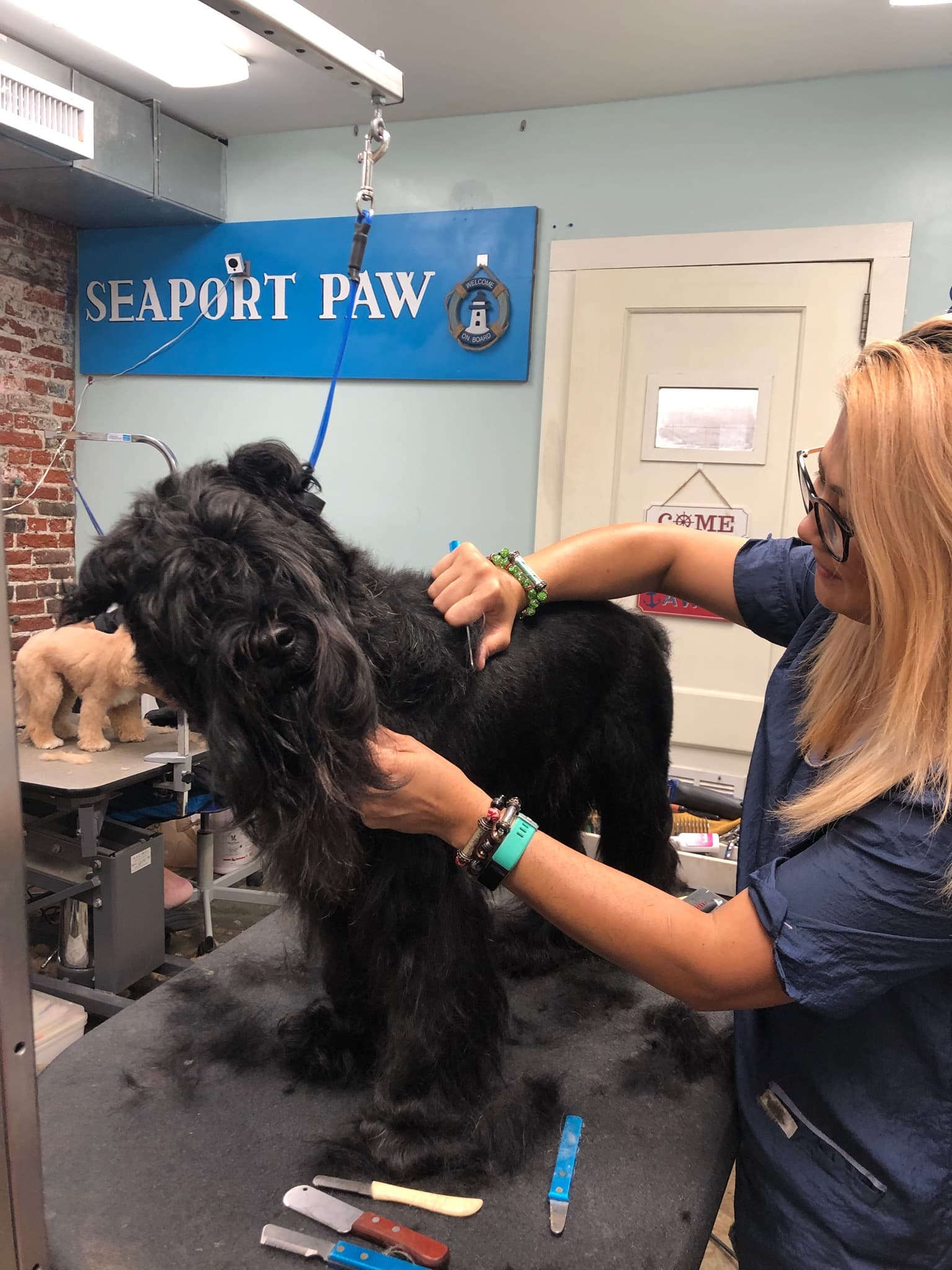 The Seaport Paw - Pet groomer in New York, NY