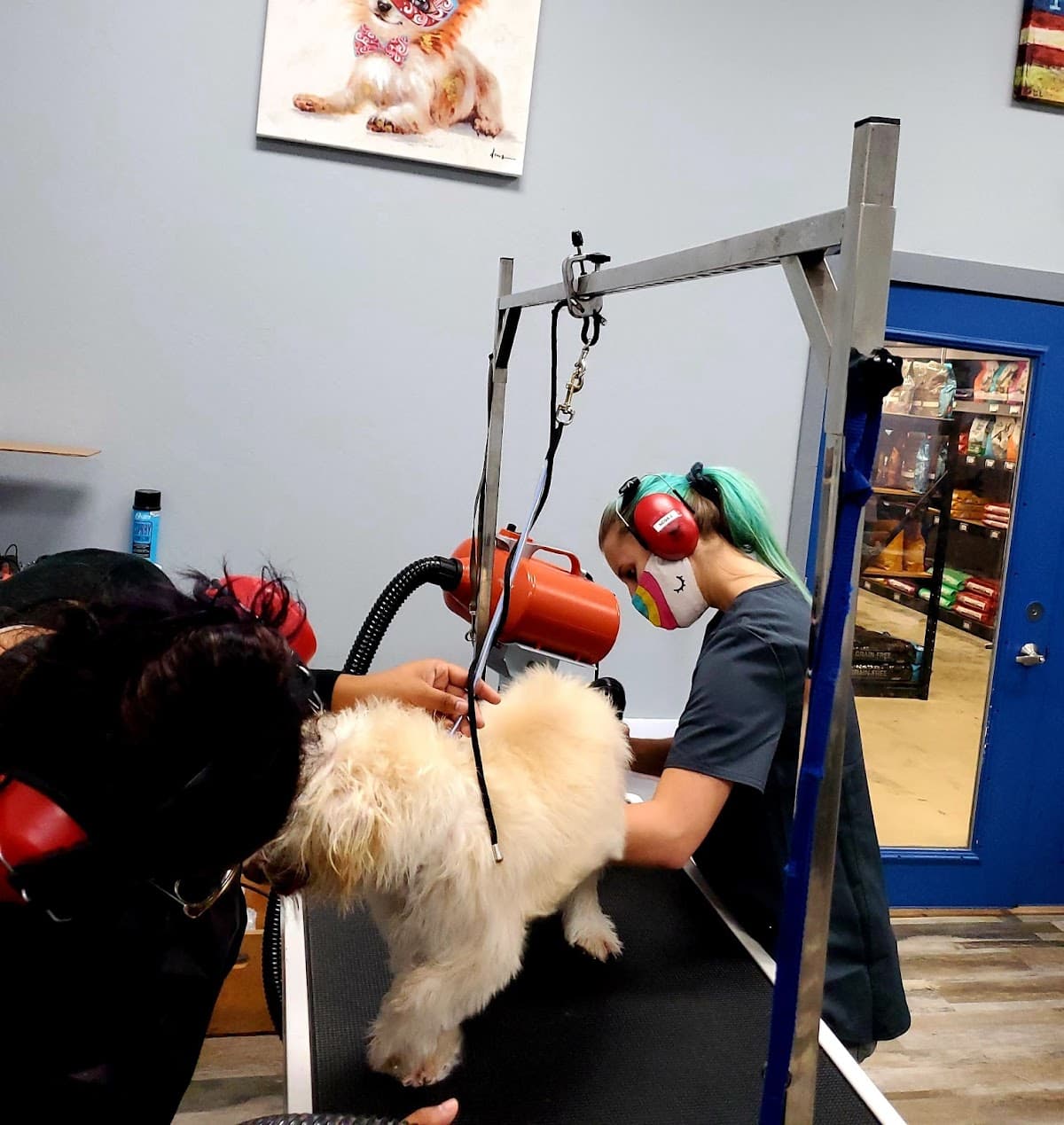 Northern California Grooming Academy - Pet groomer in San Jose, CA