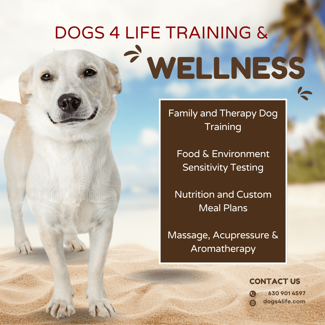 Dogs 4 Life Training and Wellness - Pet groomer in North Aurora, IL