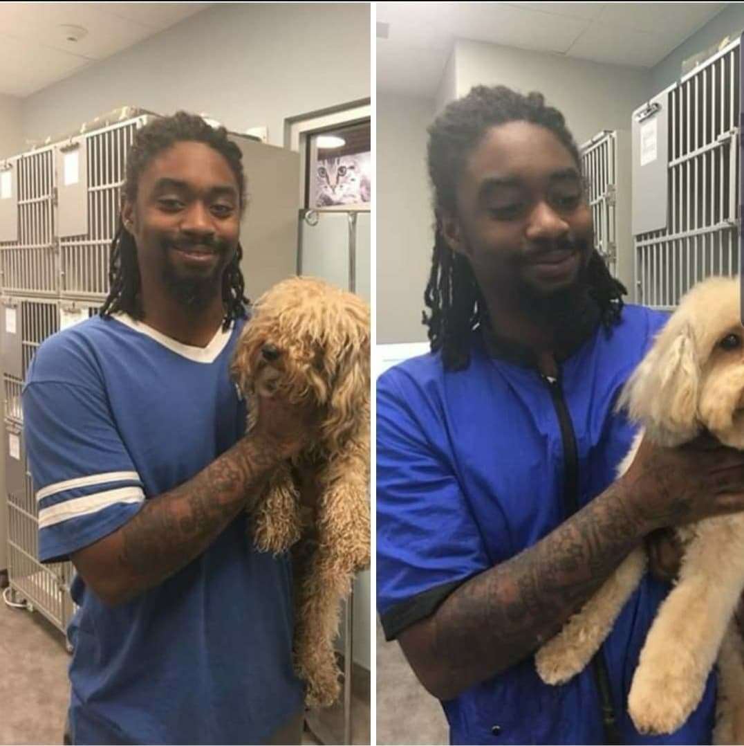 Doggy Cutz, LLC - Pet groomer in Denver, CO