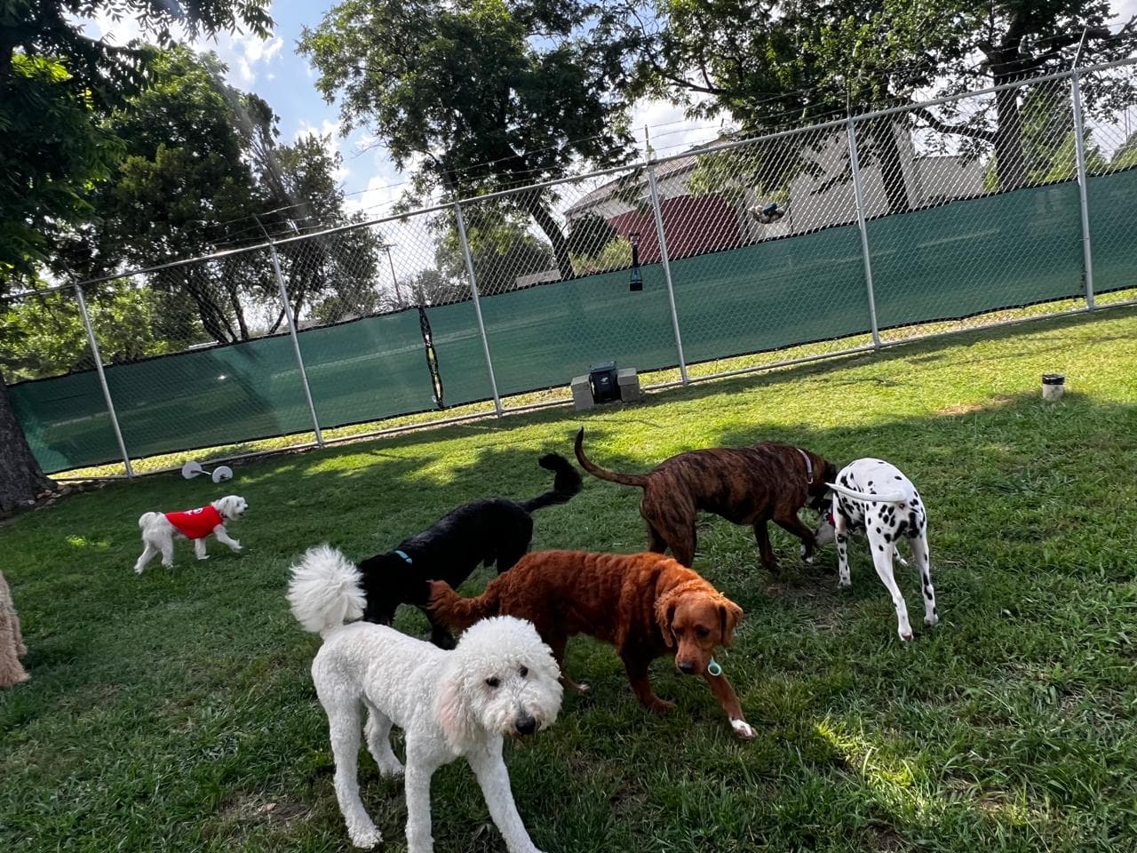 VIP Dog Hotel - Pet groomer in Dallas, TX