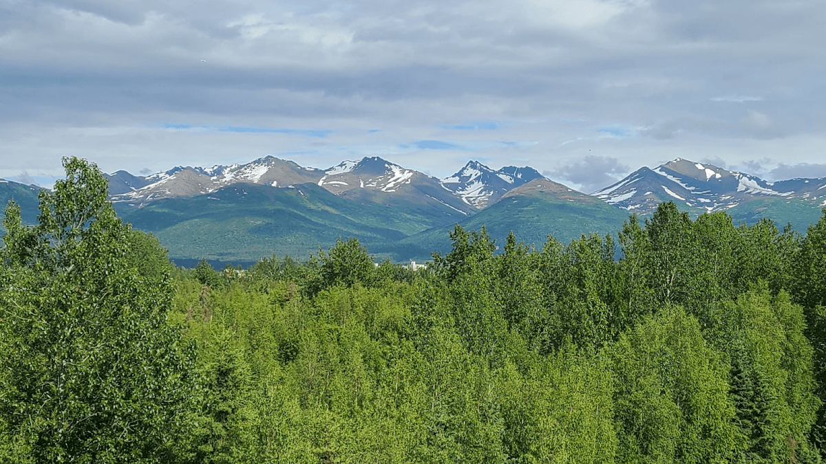 Dr. Martin P. Kaszubowski, M.D. - Doctor in Anchorage, AK