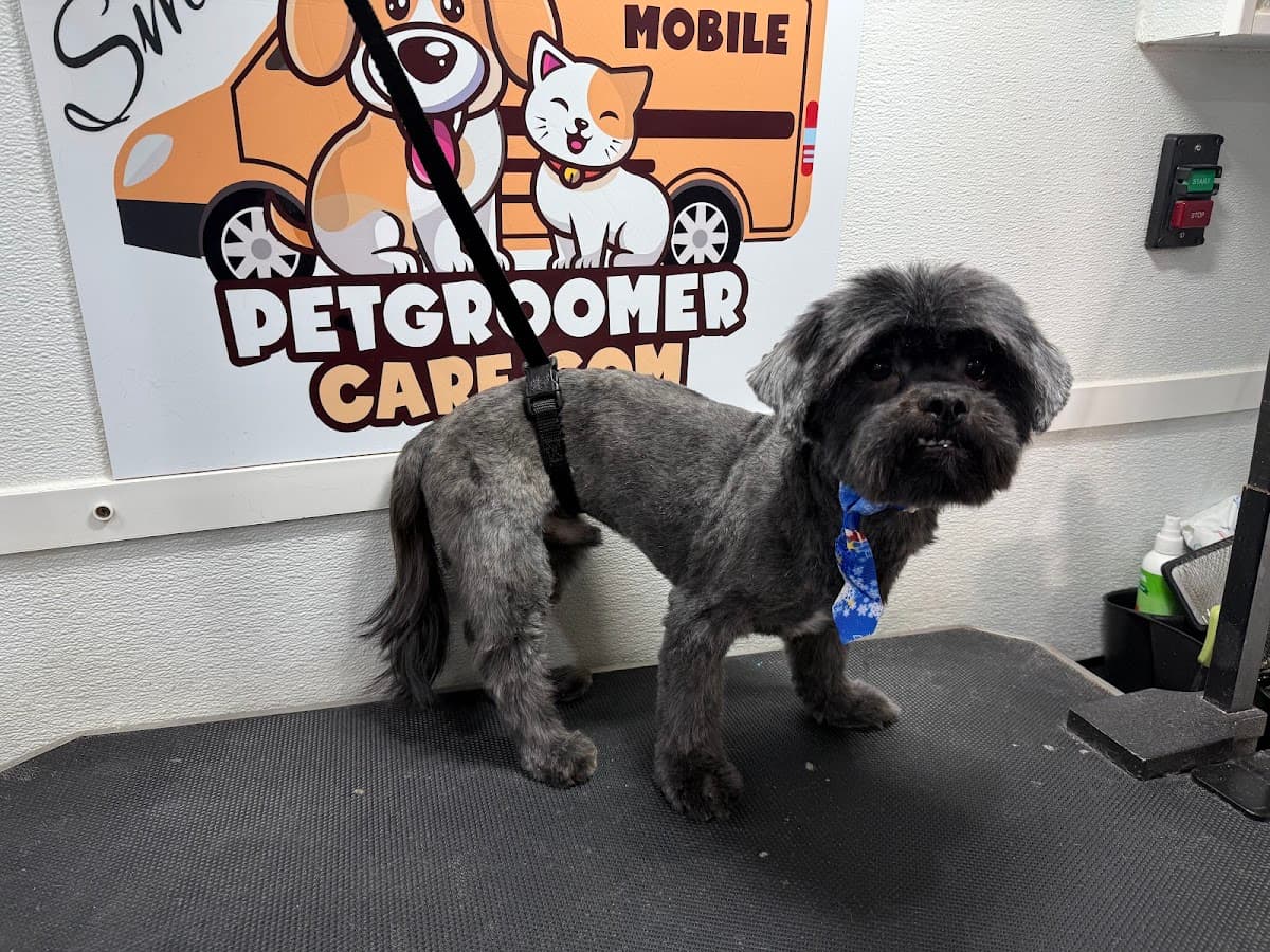 Mobile Pet Groomer Care | Mobile Grooming Services in Atlanta - Pet groomer in Marietta, GA