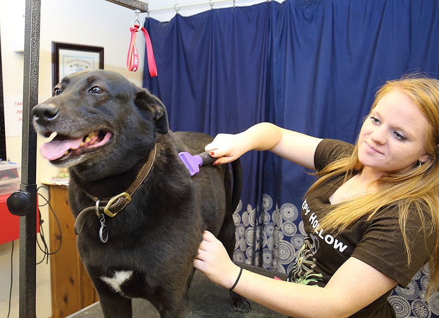 Sleepy Hollow Pet Ranch - Pet groomer in Indianapolis, IN