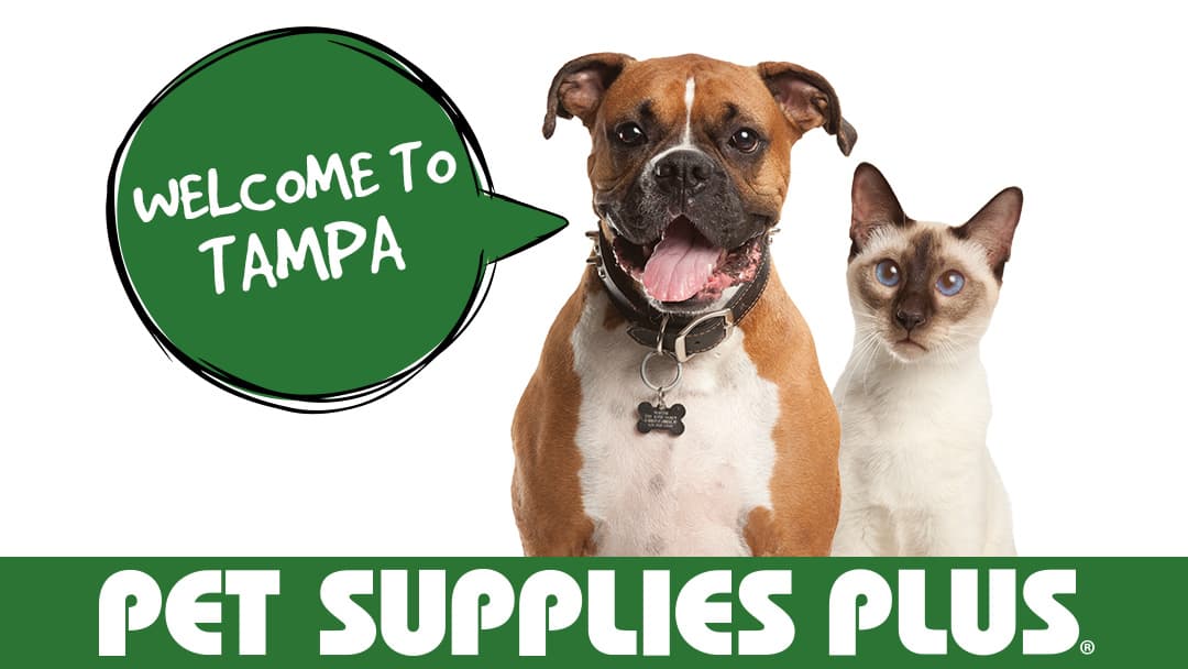 Pet Supplies Plus Tampa - Pet groomer in Tampa, FL