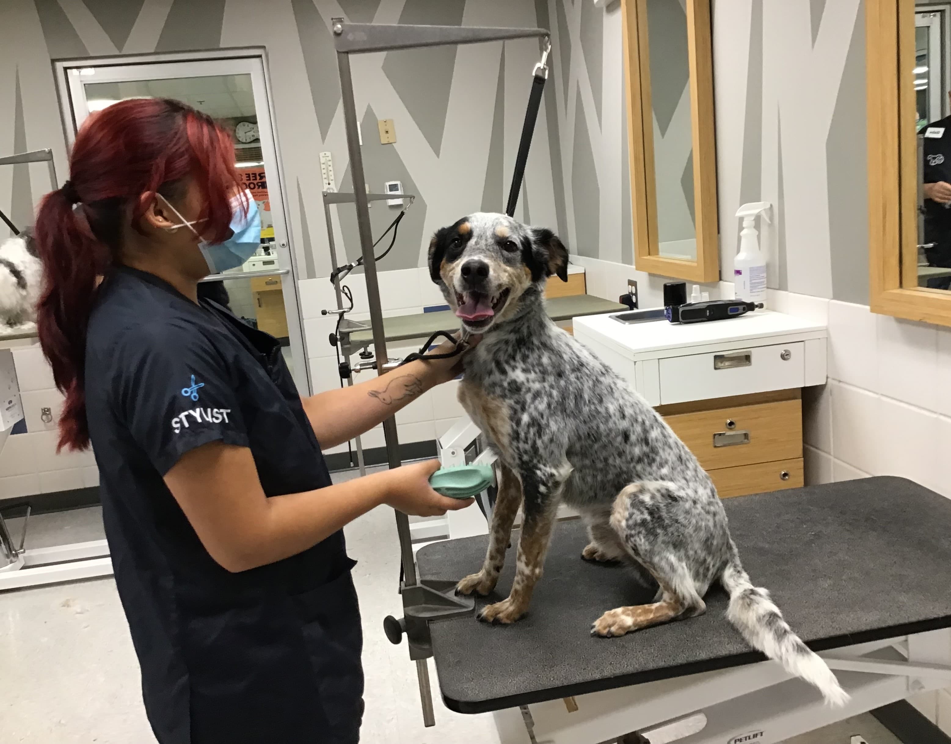 Petco Grooming - Pet groomer in San Antonio, TX