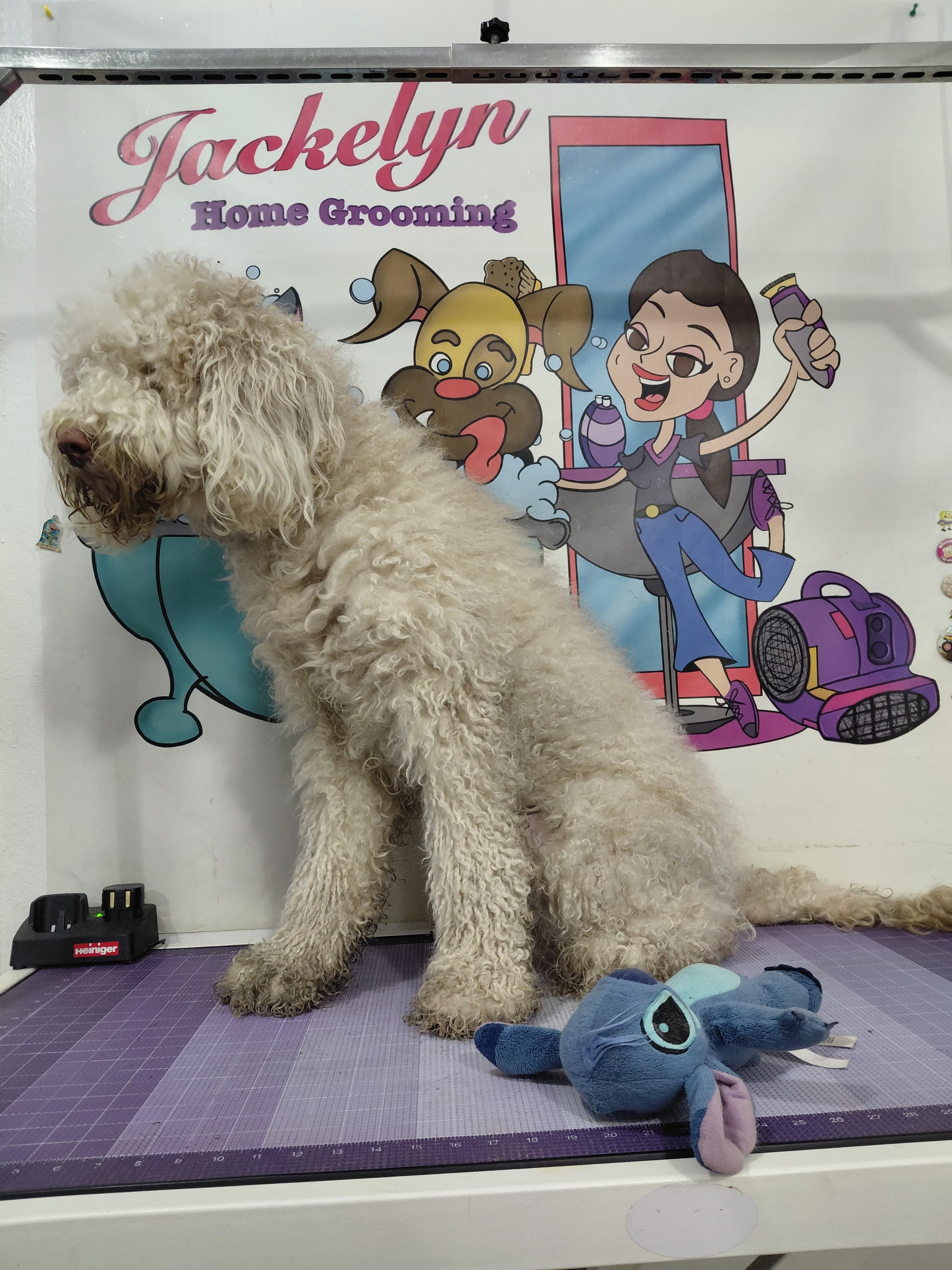 Jackelyn Home Grooming LLC - Pet groomer in Bronx, NY