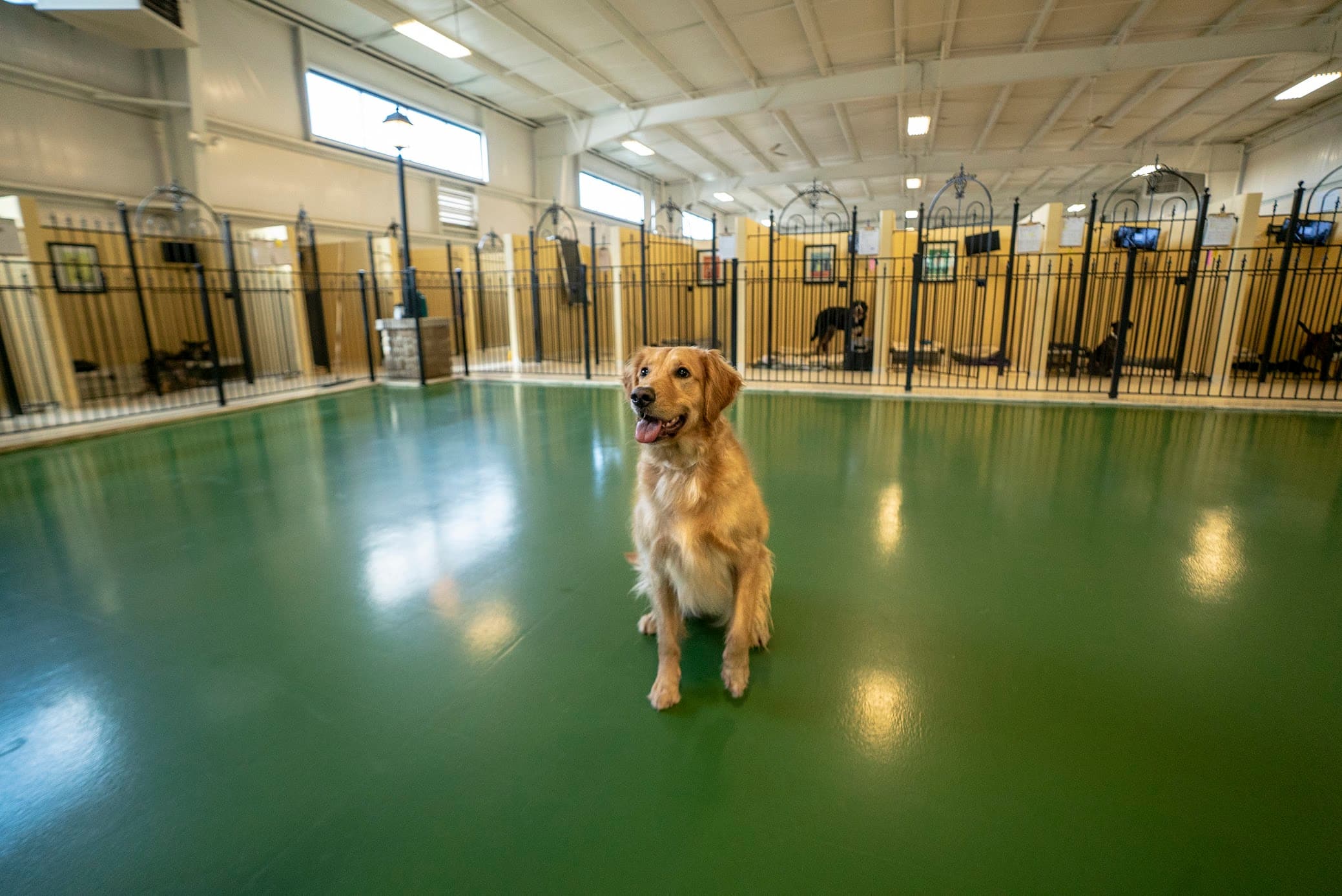Pet Palace - Cleveland East - Pet groomer in Cleveland, OH