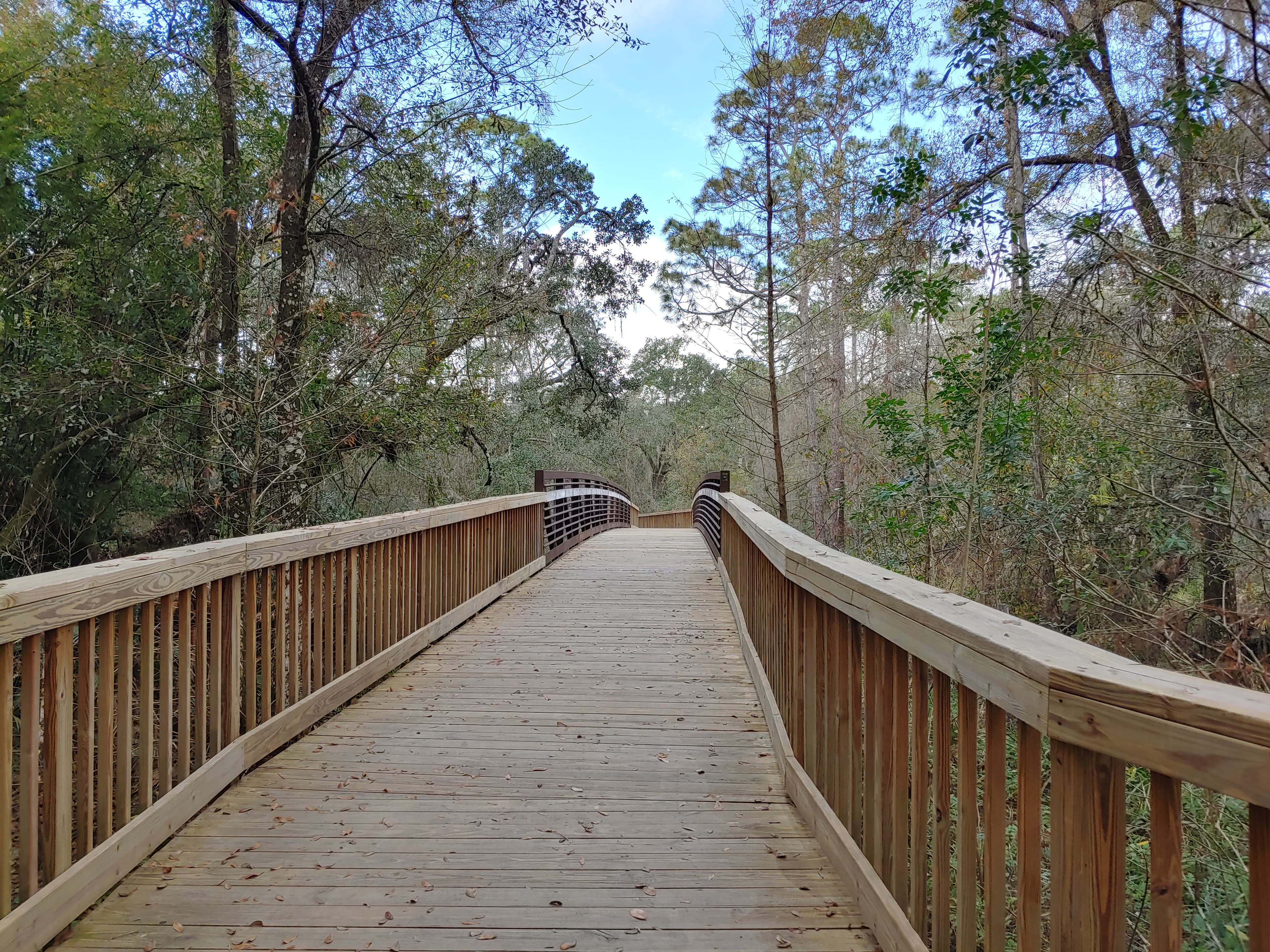 Shingle Creek Regional Park - Steffy Landing - Puddling Center - Parking in Kissimmee, FL
