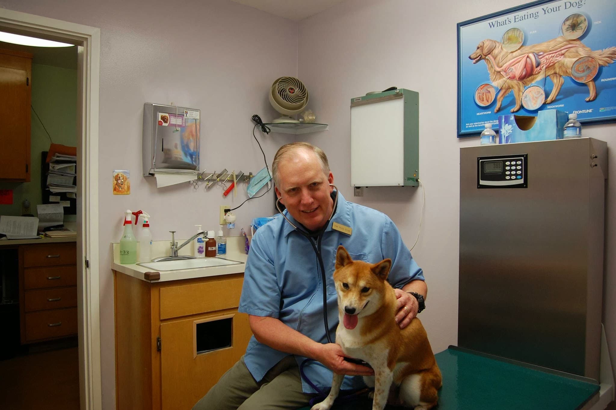 Oak Grove Veterinary Hospital - Pet groomer in San Jose, CA
