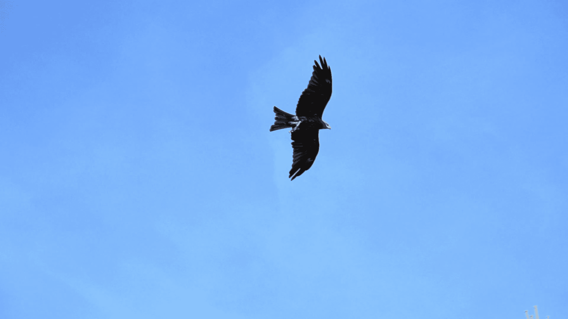 Audubon Park - Parking in Deltona, FL