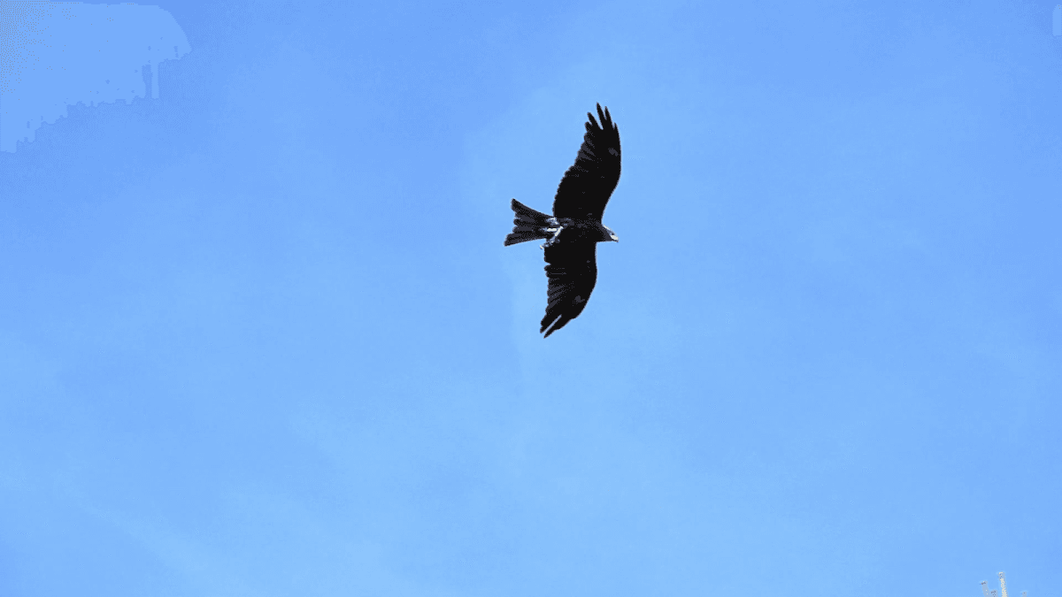 Audubon Park - Parking in Deltona, FL