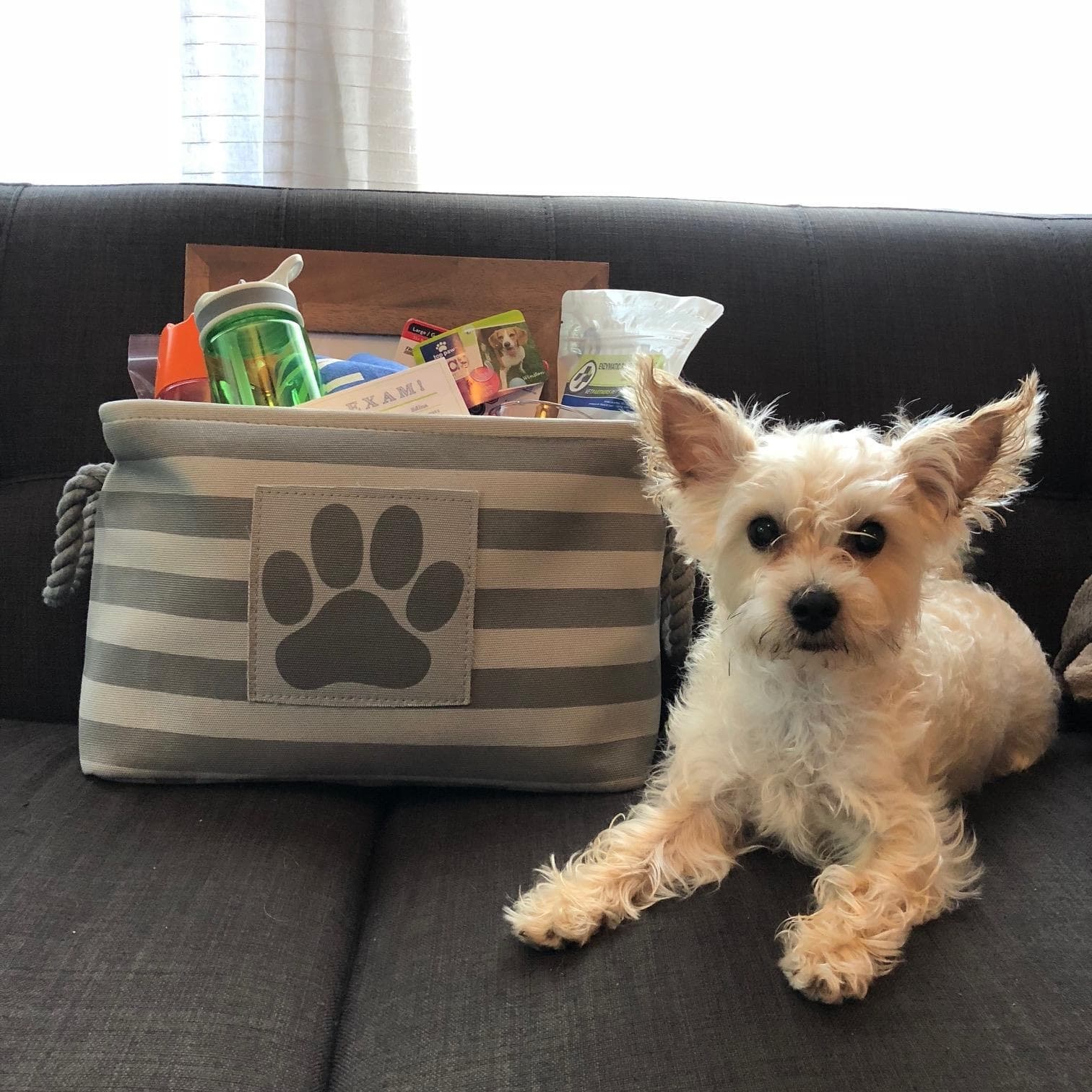 Vet Partners Minneapolis - Pet groomer in Minneapolis, MN