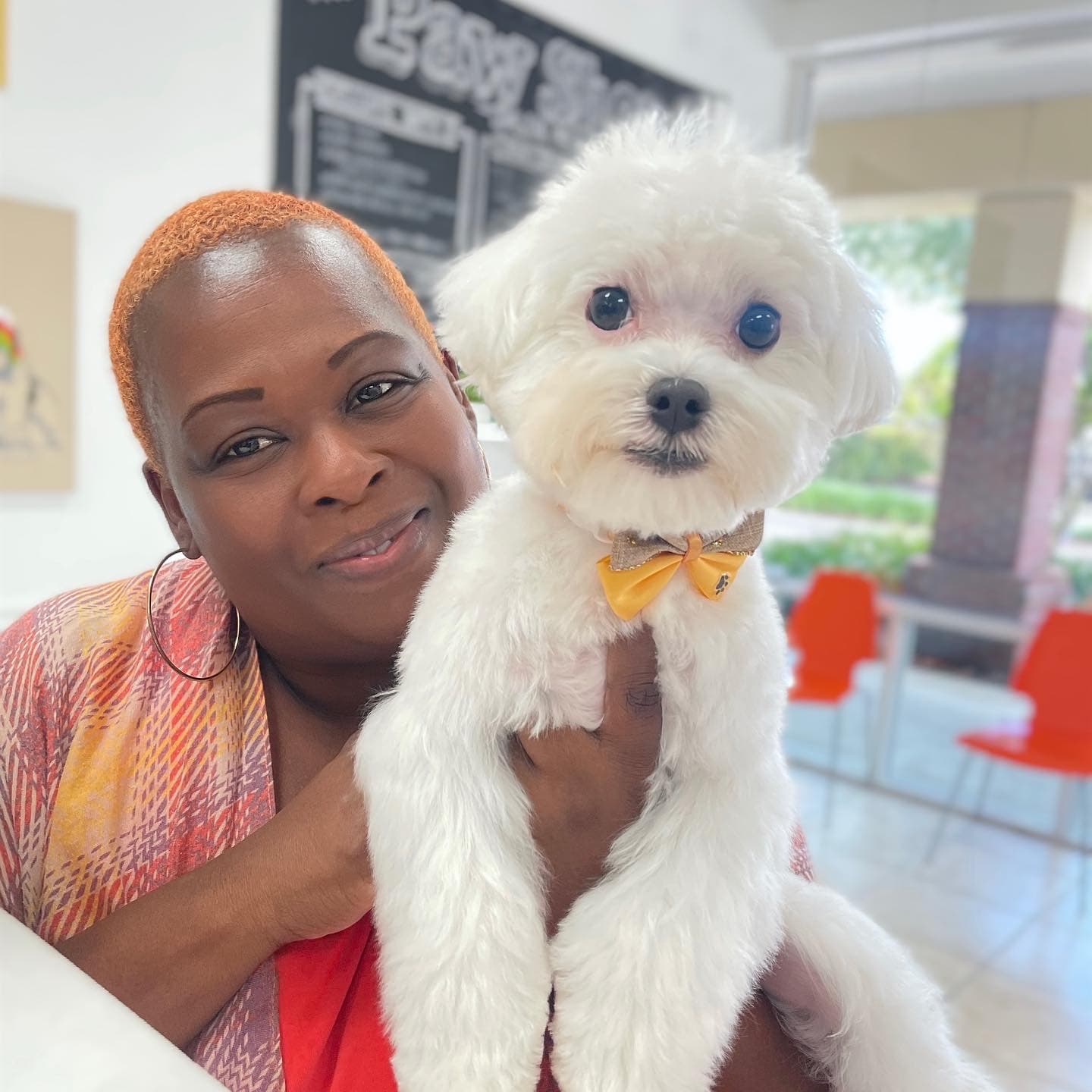 The Paw Shop - Pet groomer in Orlando, FL