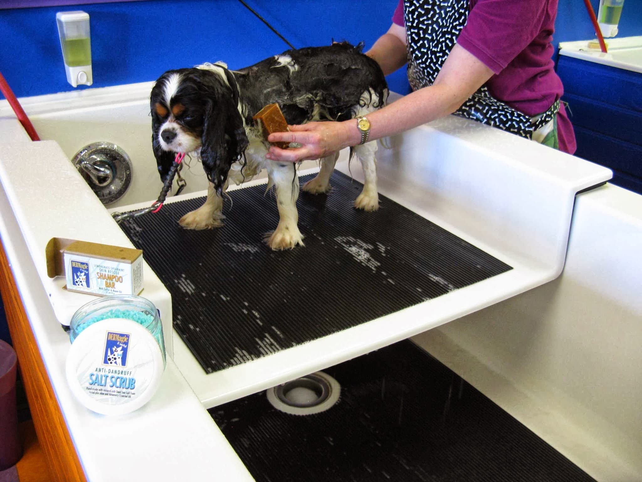Good Karma Dog Spa - Pet groomer in Duvall, WA