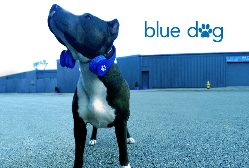 Blue Dog K9 Care - Pet groomer in Cincinnati, OH