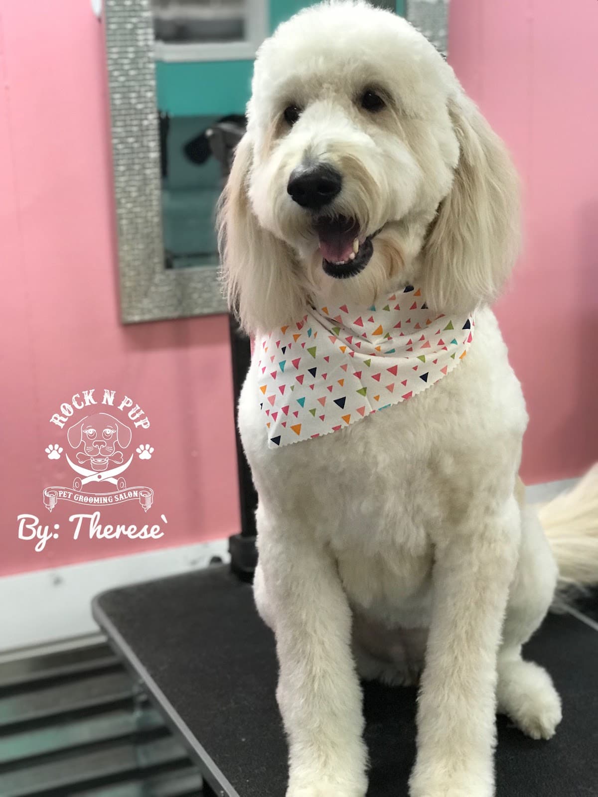Rock n Pup Pet Salon - Pet groomer in Smyrna, TN
