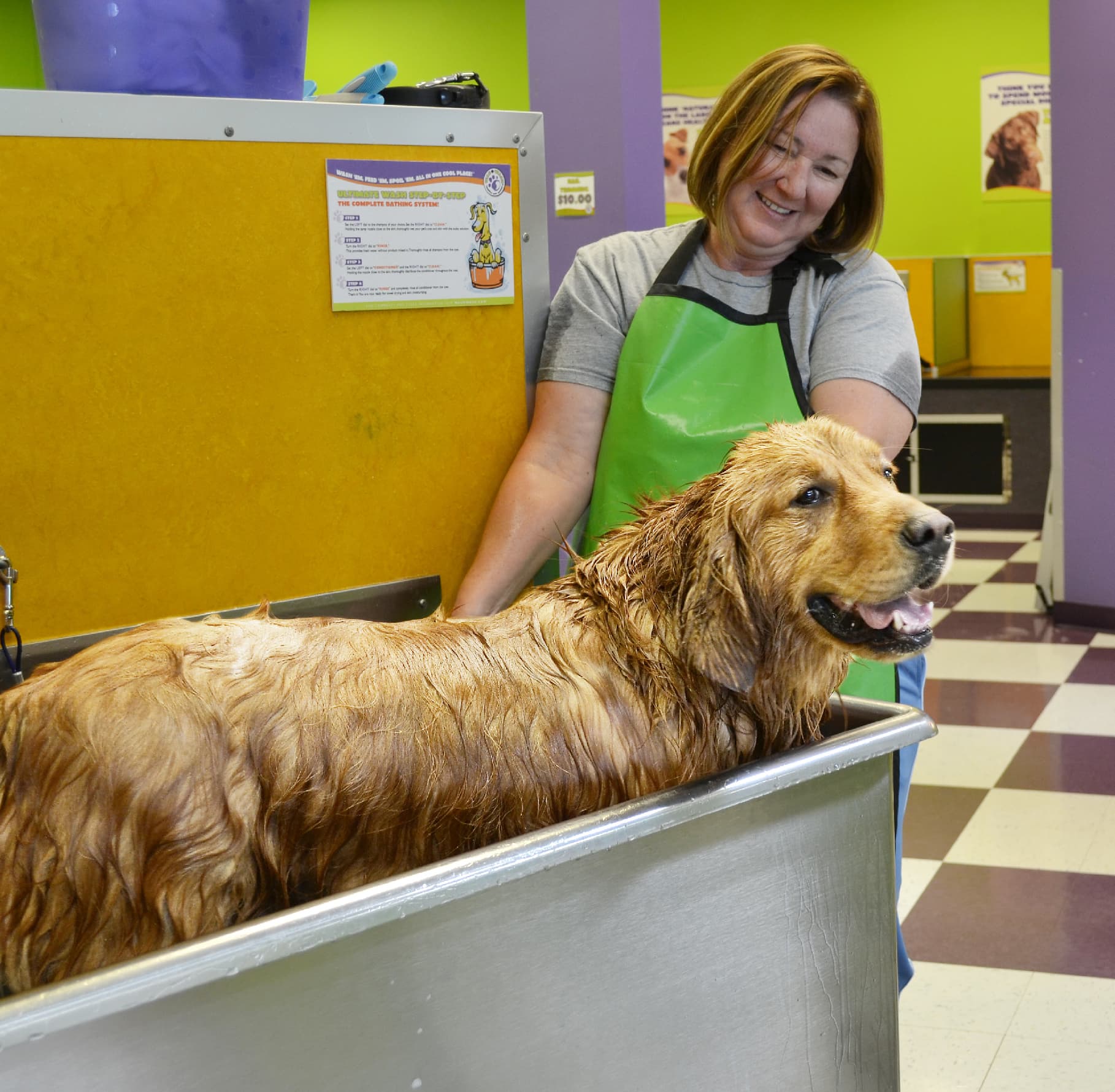 Wag N' Wash Natural Pet Food & Grooming - Pet groomer in Seattle, WA