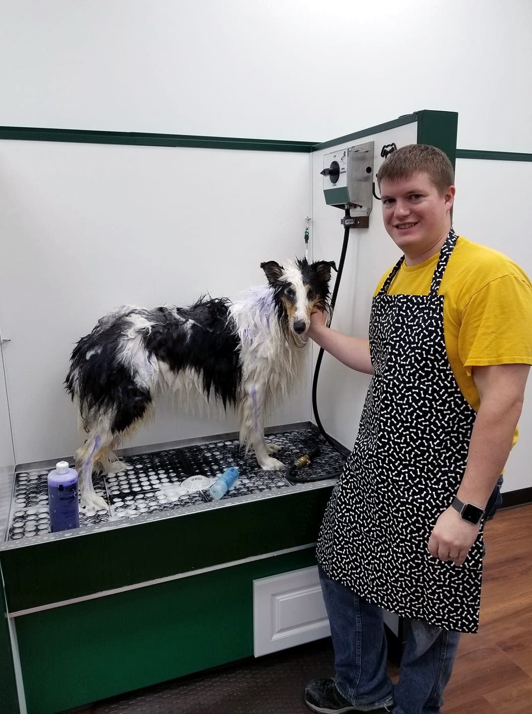 The Wizard of Paws Pet Salon - Pet groomer in Issaquah, WA