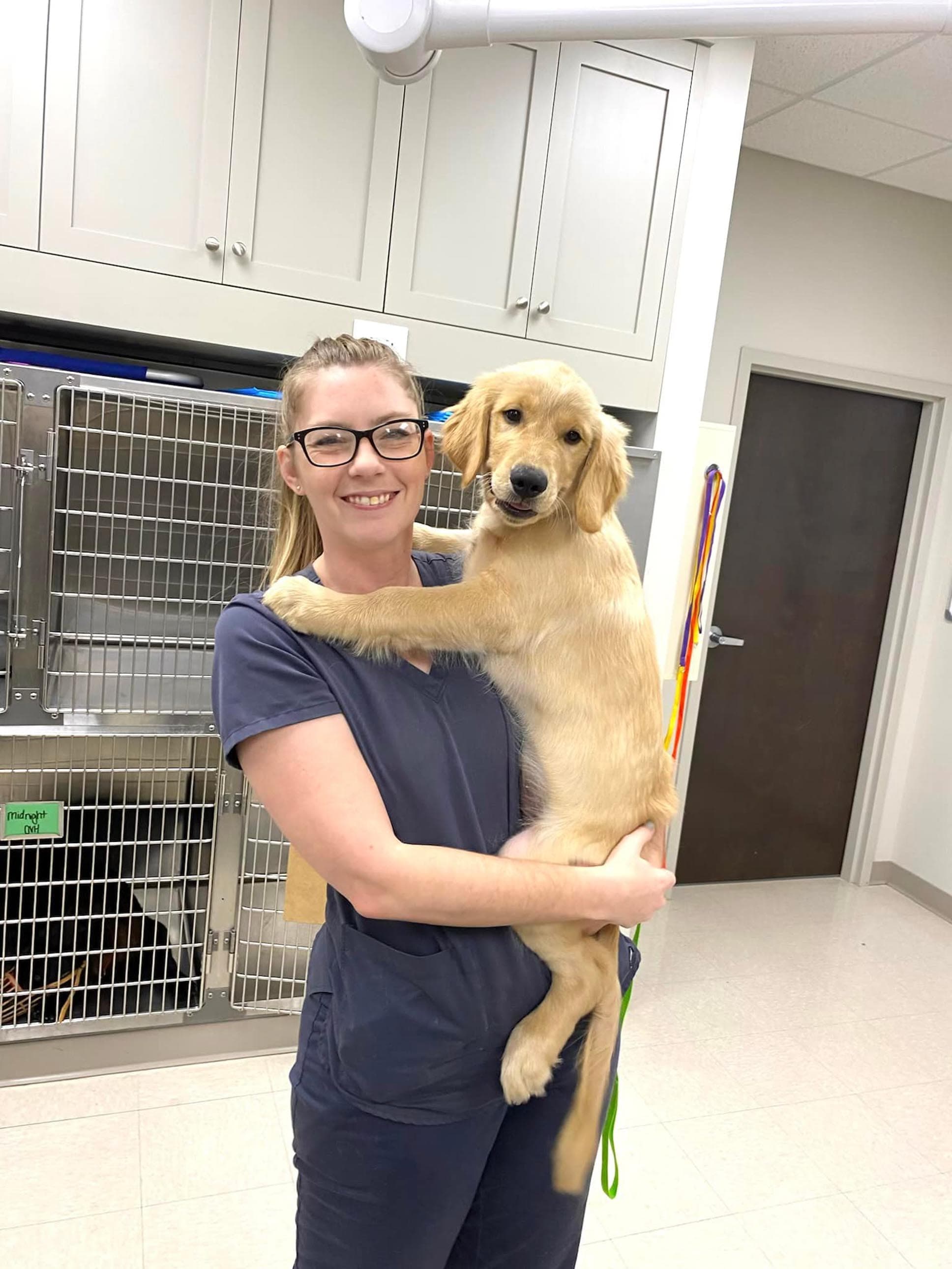 Creekwood Veterinary Hospital - Pet groomer in Murfreesboro, TN