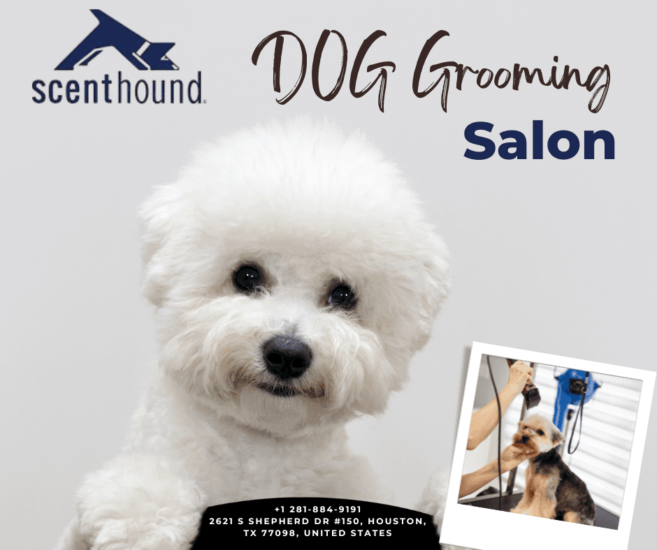 Scenthound River Oaks - Pet groomer in Houston, TX