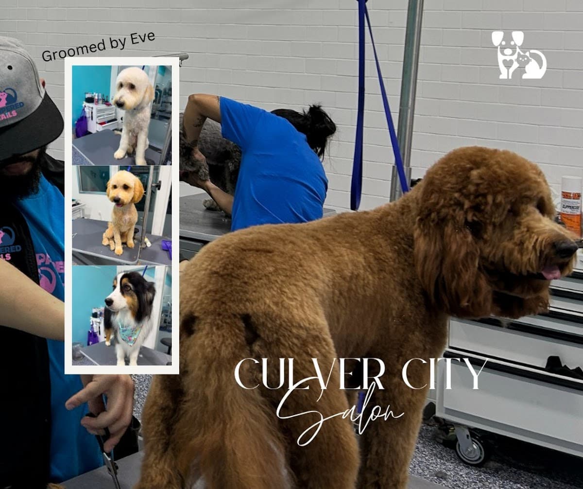 Pampered Tails - Pet groomer in Culver City, CA
