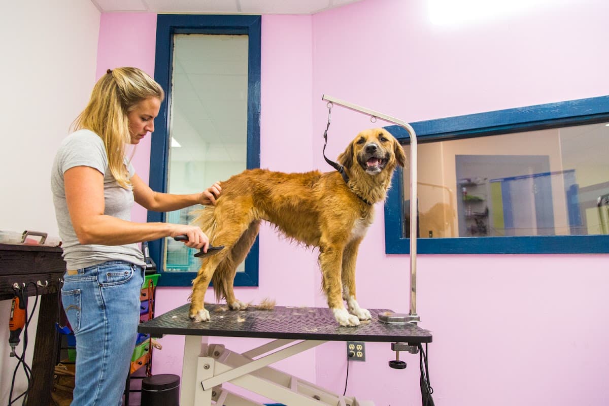 Happy Snoutz Pet Resort - Pet groomer in Houston, TX