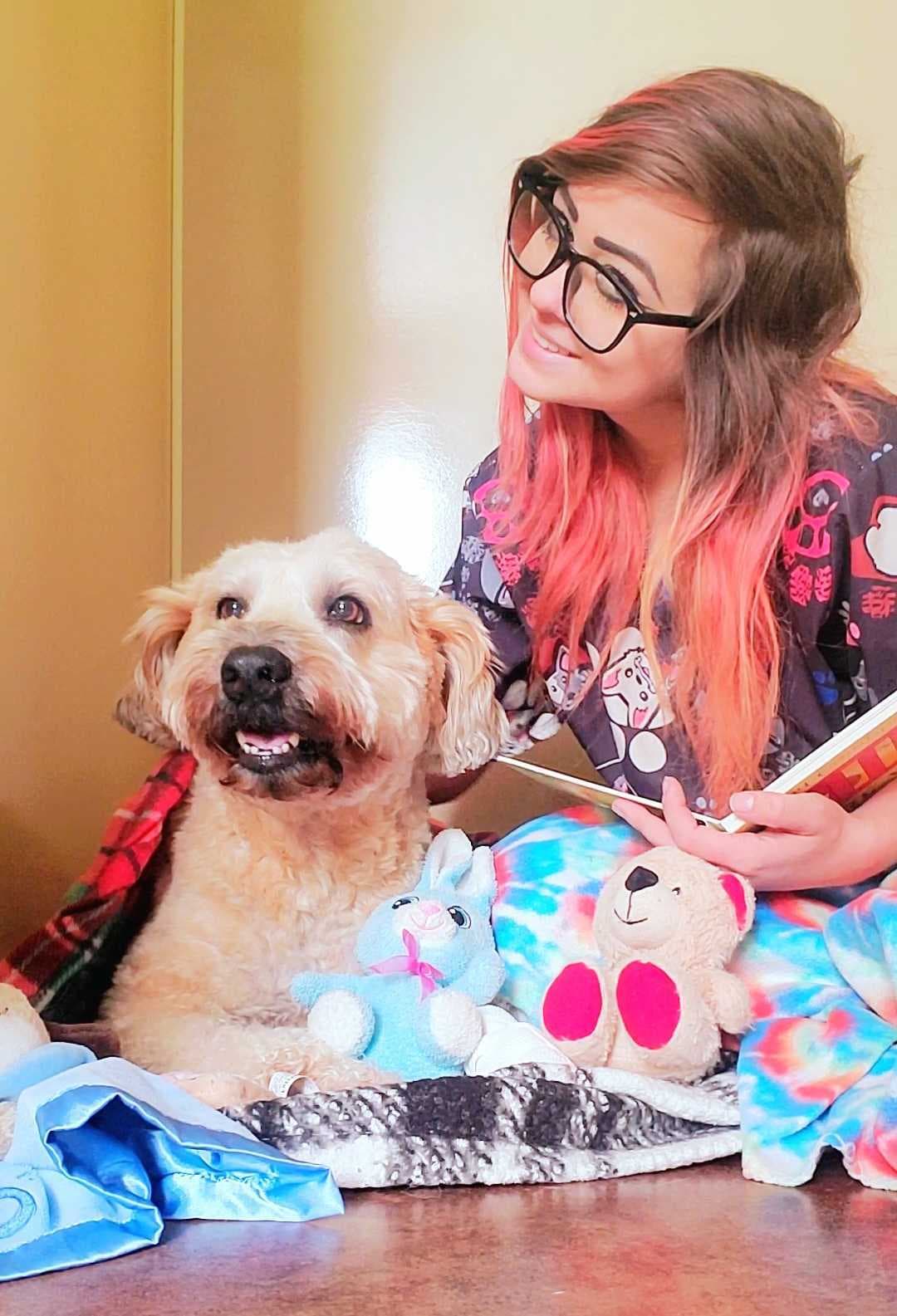 My Love Fur Paws Pet Resort - Pet groomer in Austin, TX