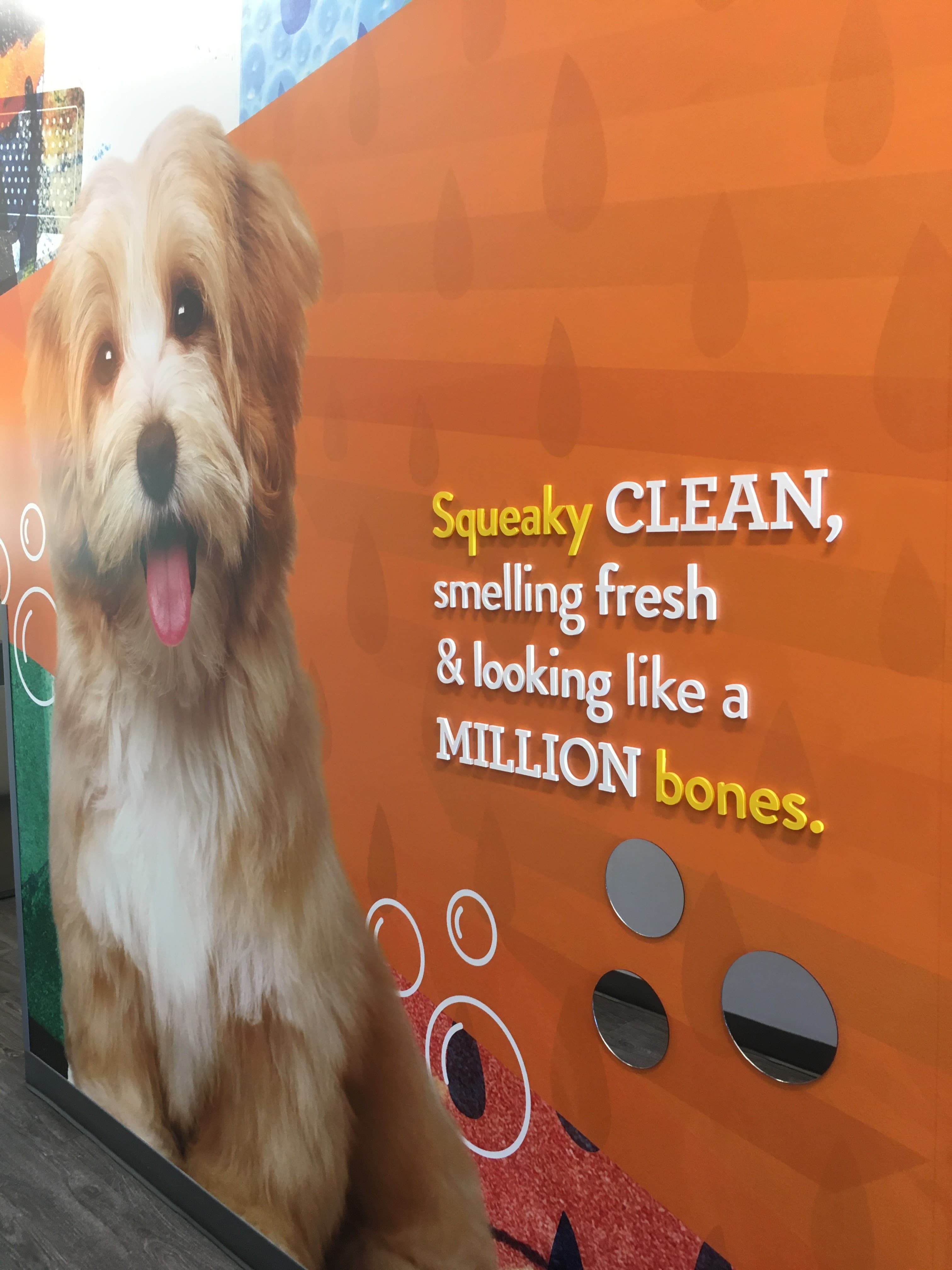 Dogtopia of Sacramento Nimbus Winery - Pet groomer in Rancho Cordova, CA