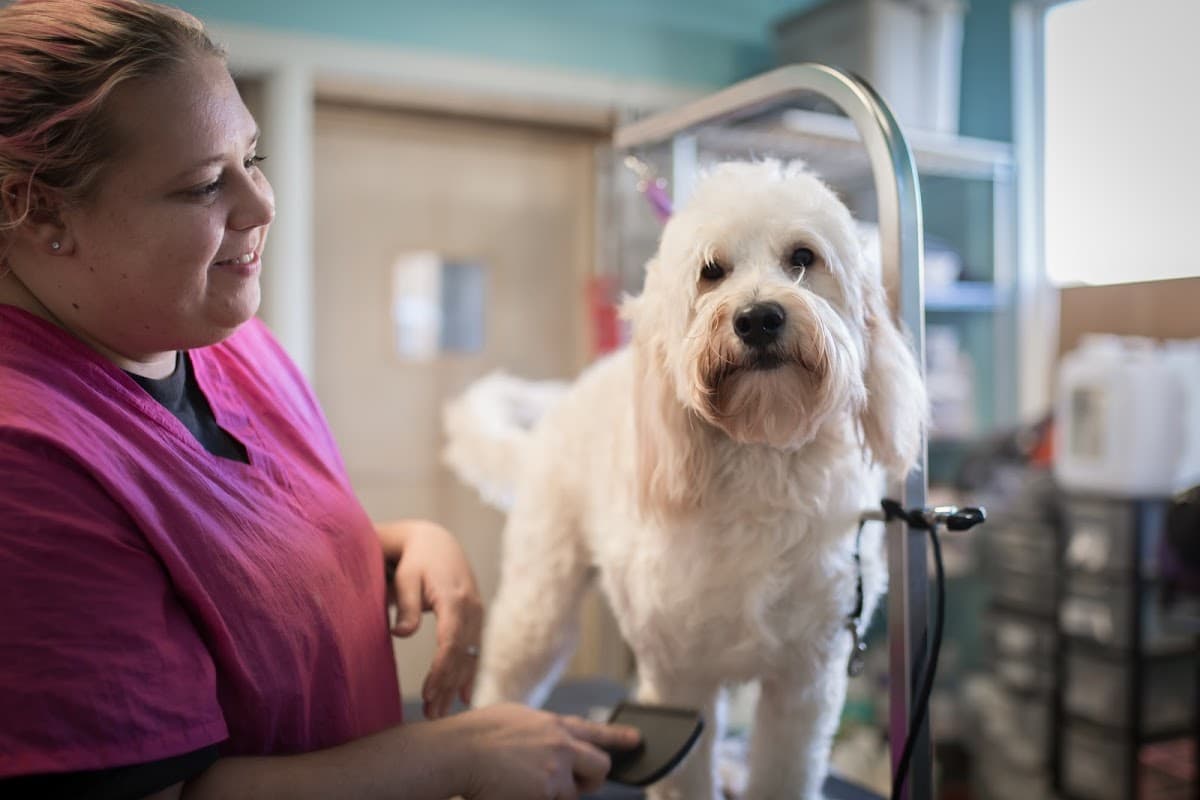 Pooches Paradise Daycare and Resort - Pet groomer in Kansas City, MO