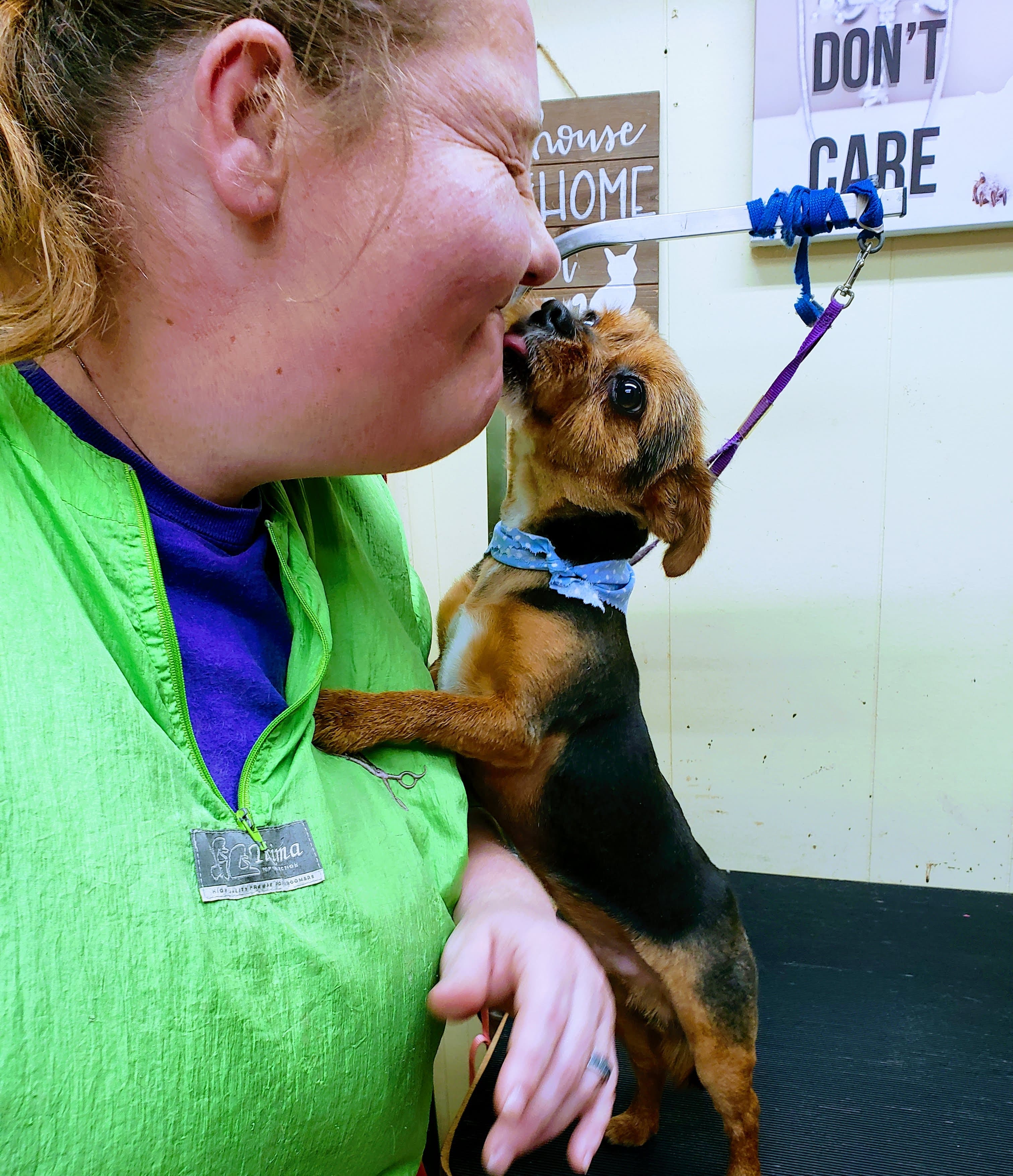 Critter Cleaners Pet Grooming Salon & Mobile Grooming - Pet groomer in Hampton, VA