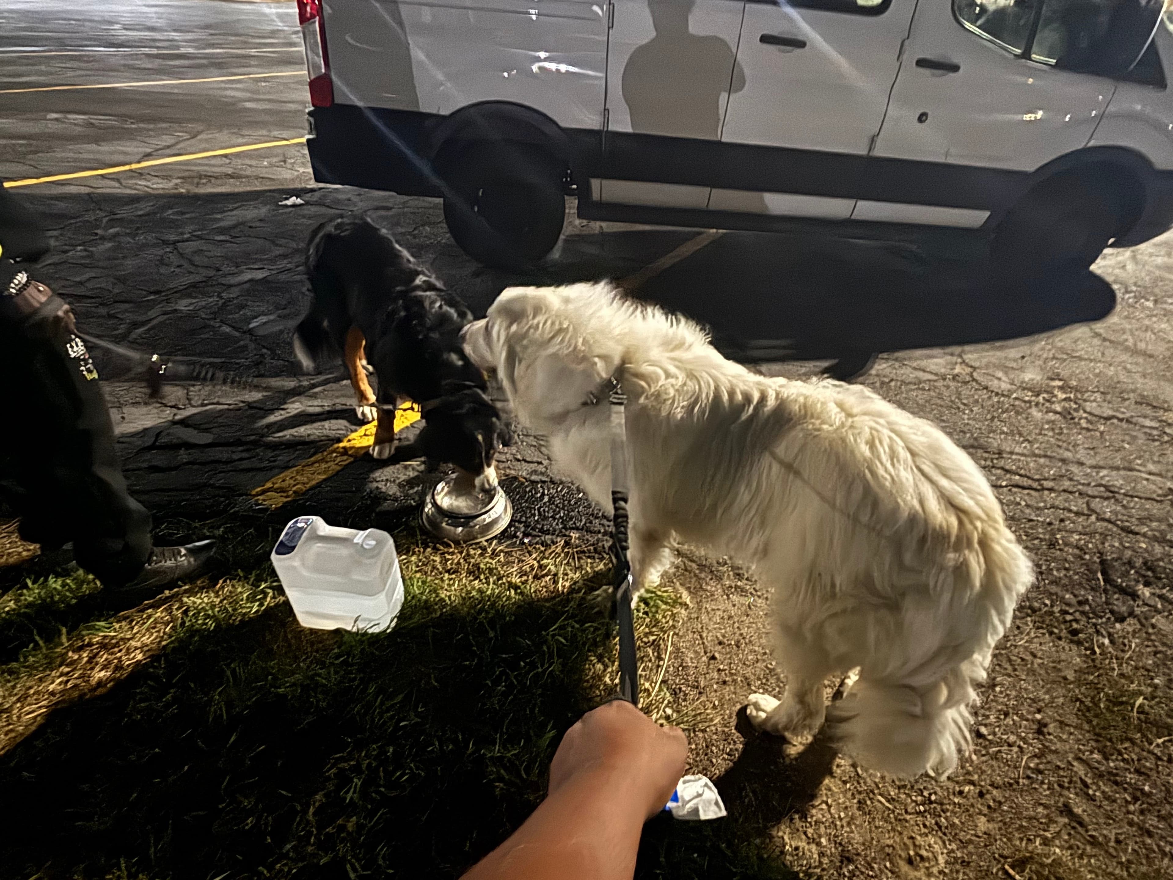 Chay-Kelley Animal Care Specialist LLC - Pet groomer in Cincinnati, OH