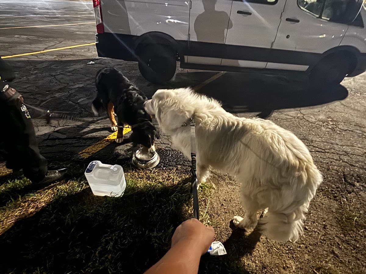 Chay-Kelley Animal Care Specialist LLC - Pet groomer in Cincinnati, OH
