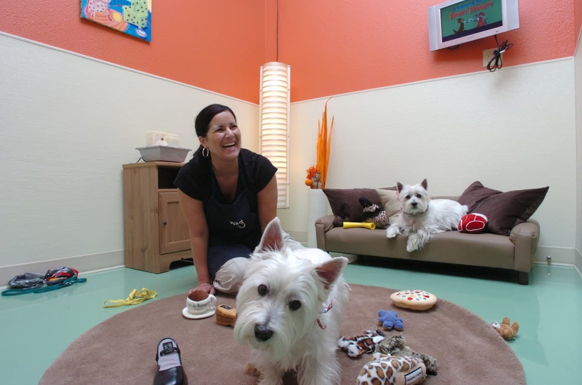Wag Hotels - West Sacramento - Pet groomer in West Sacramento, CA