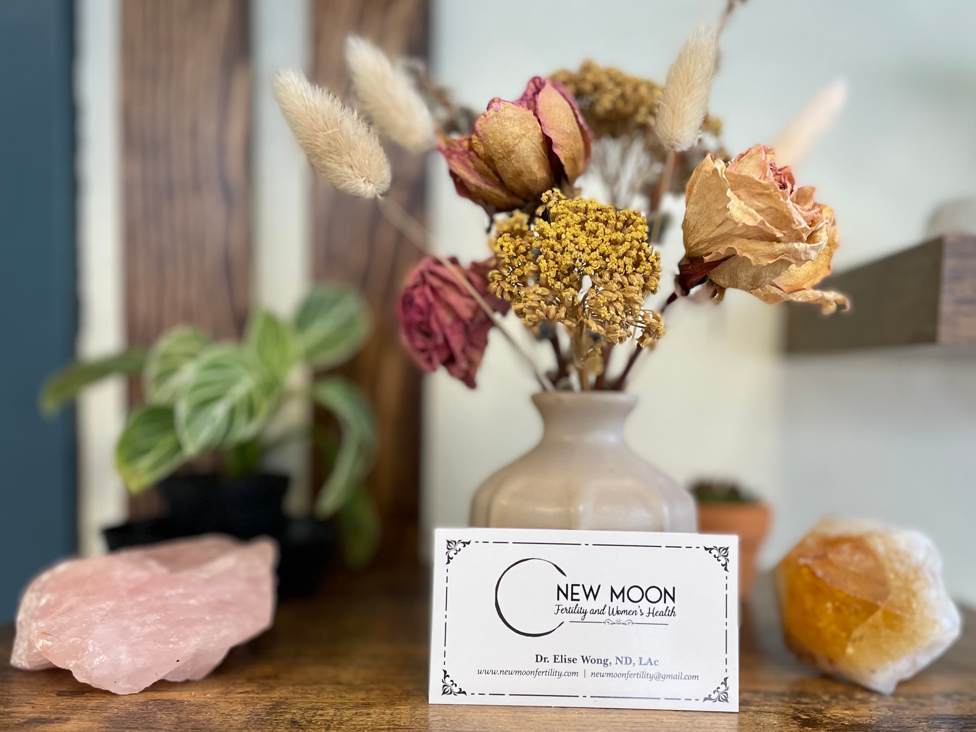 New Moon Fertility and Women's Health - Doctor in Olympia, WA