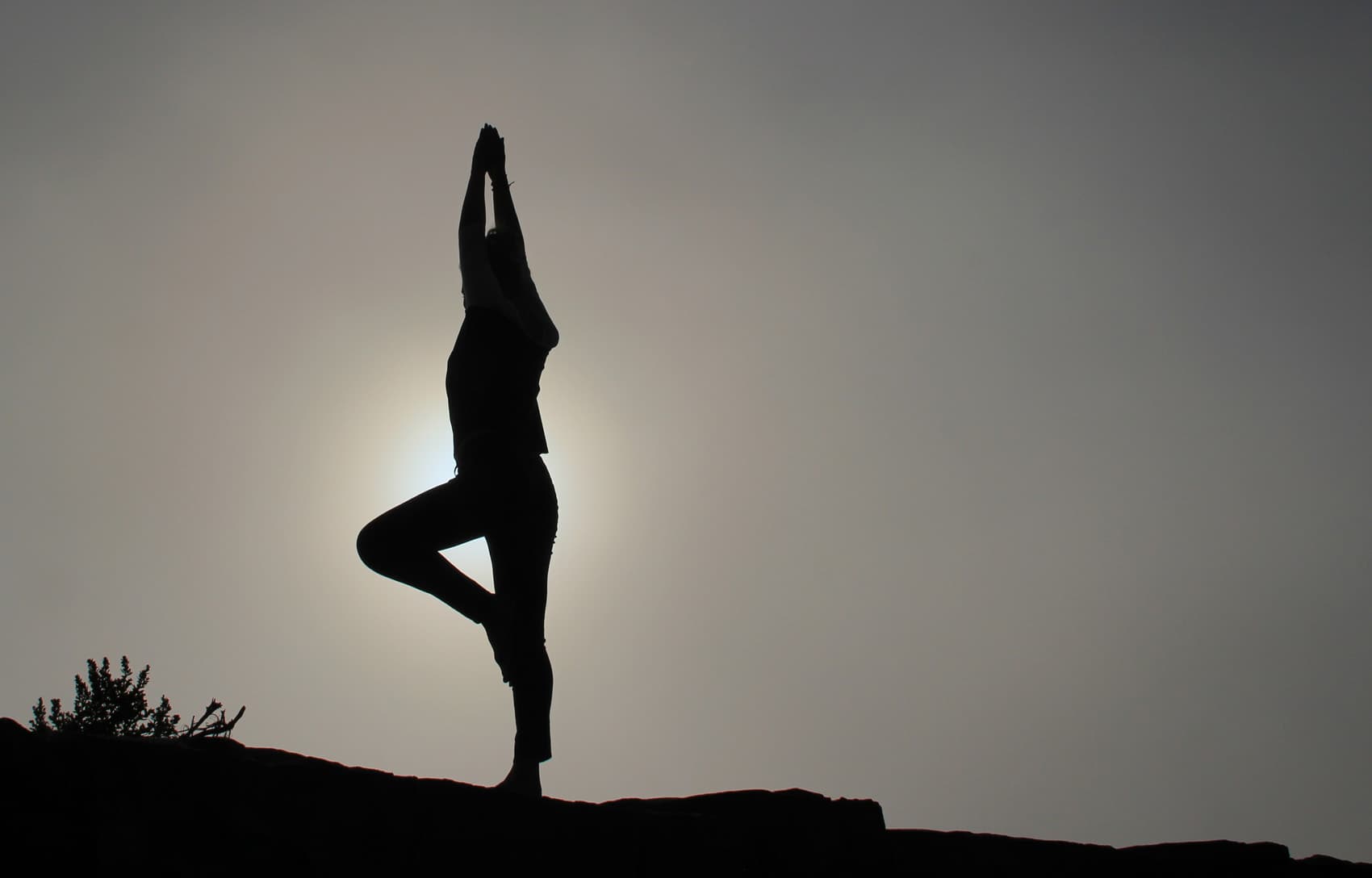 Desert Spine & Sports Physicians - Doctor in Scottsdale, AZ