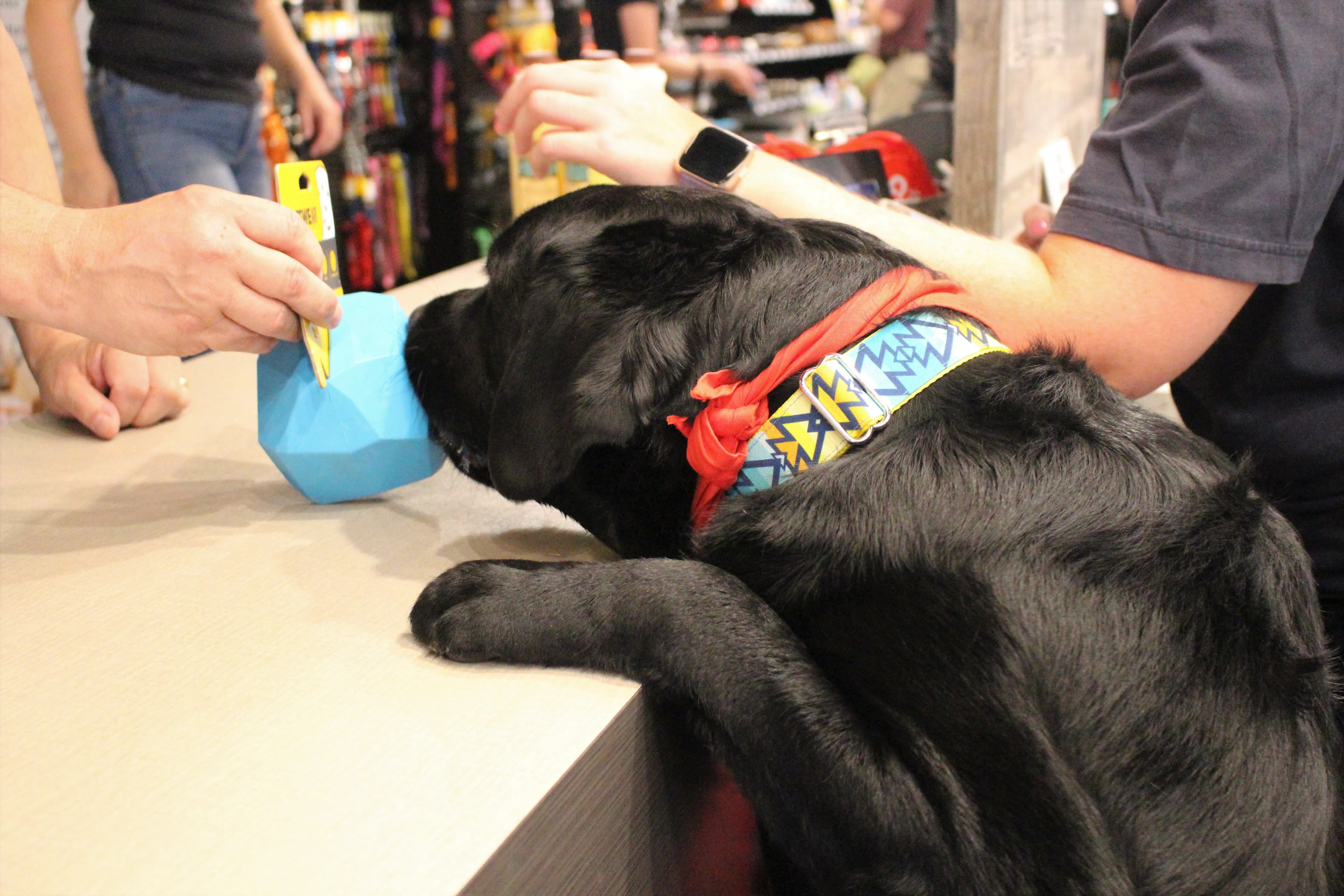 Chuck & Don's Pet Food & Supplies - Pet groomer in Roseville, MN