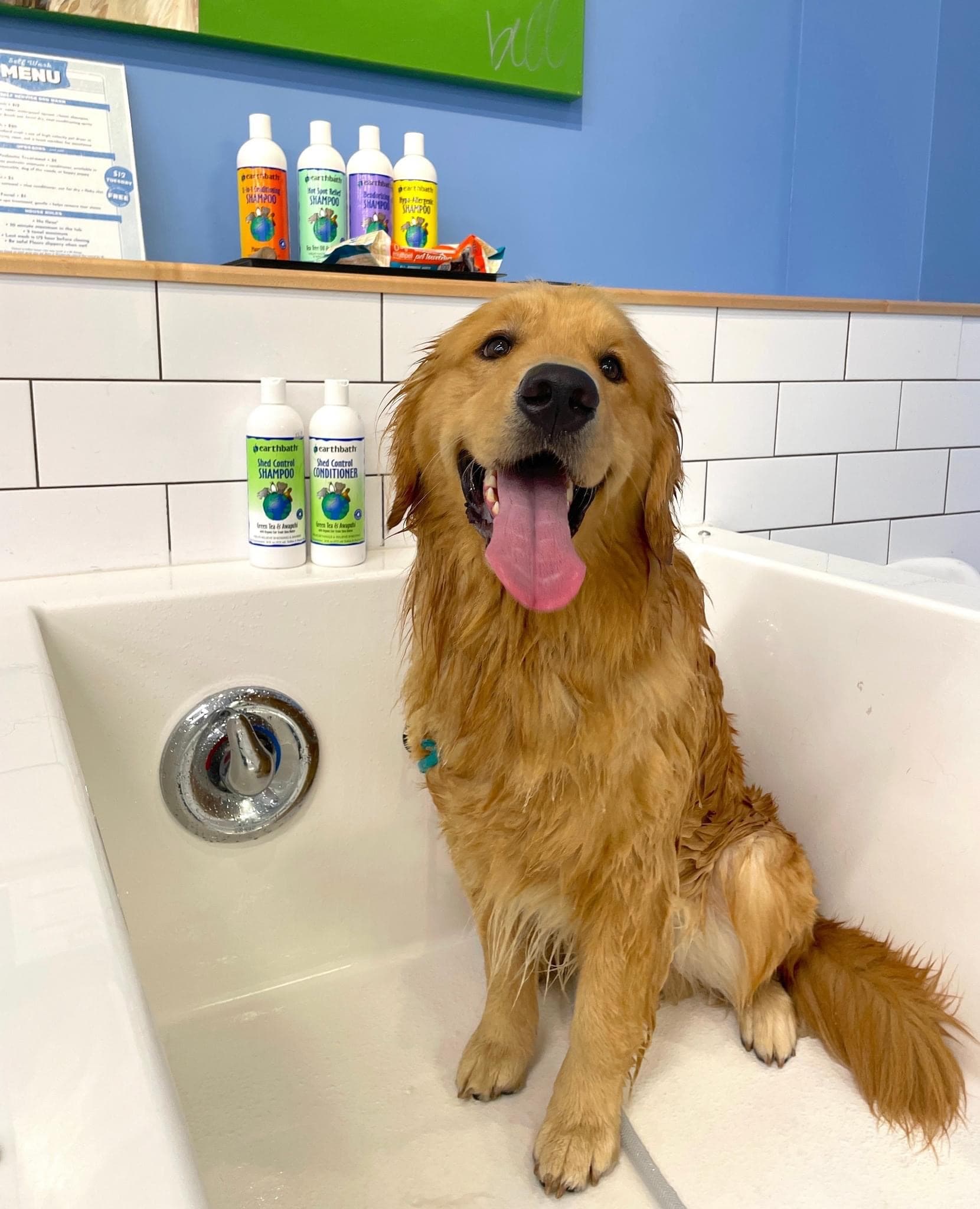 Health Mutt - Pet groomer in Tampa, FL