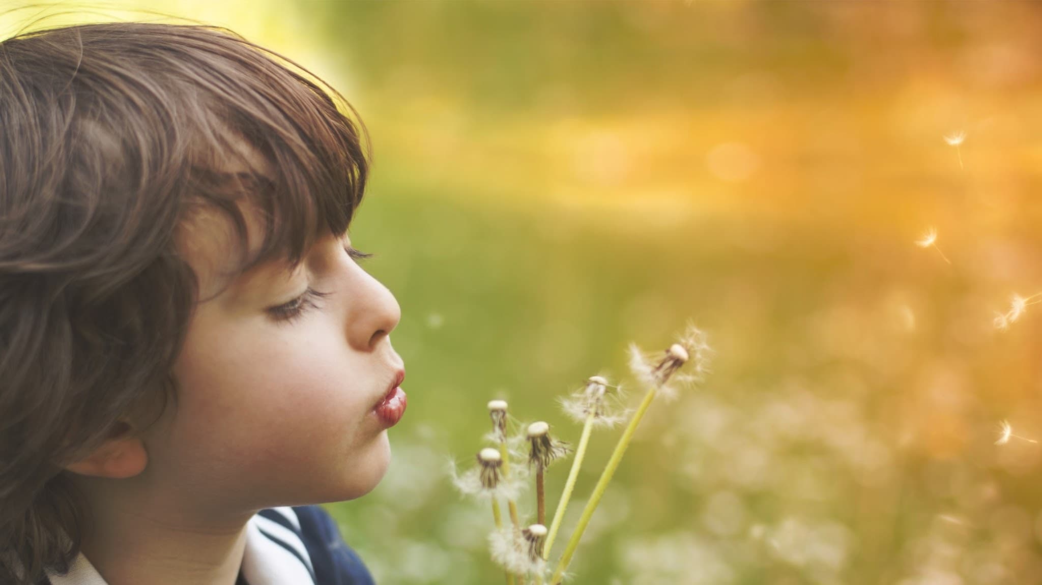 Adult & Pediatric Ear, Nose & Throat - Doctor in Kalamazoo, MI