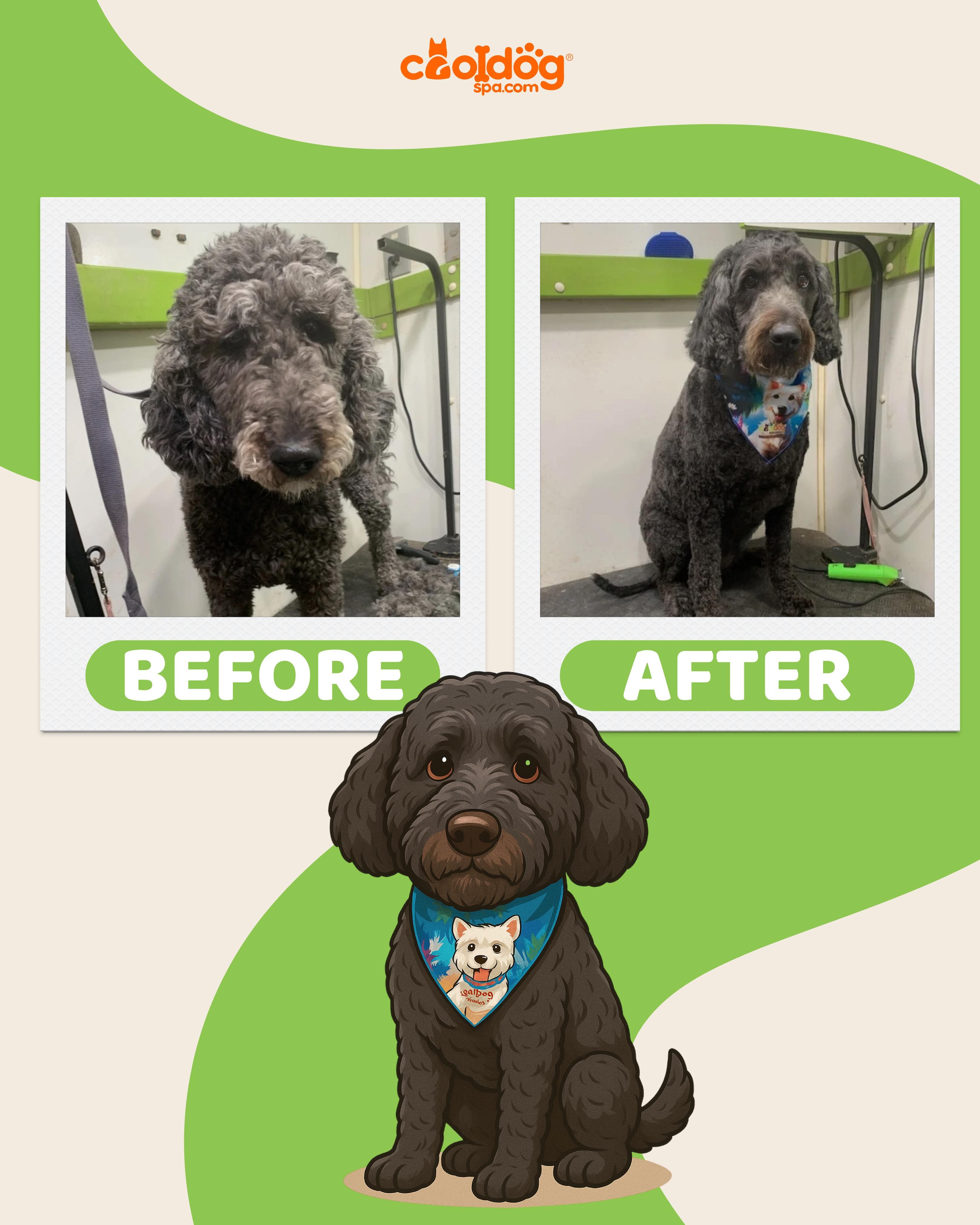 Cool Dog Spa Mobile Pet Grooming - Pet groomer in San Antonio, TX